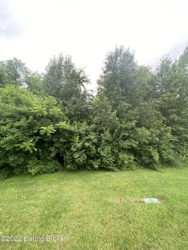 6205 Pebble Ct, Crestwood