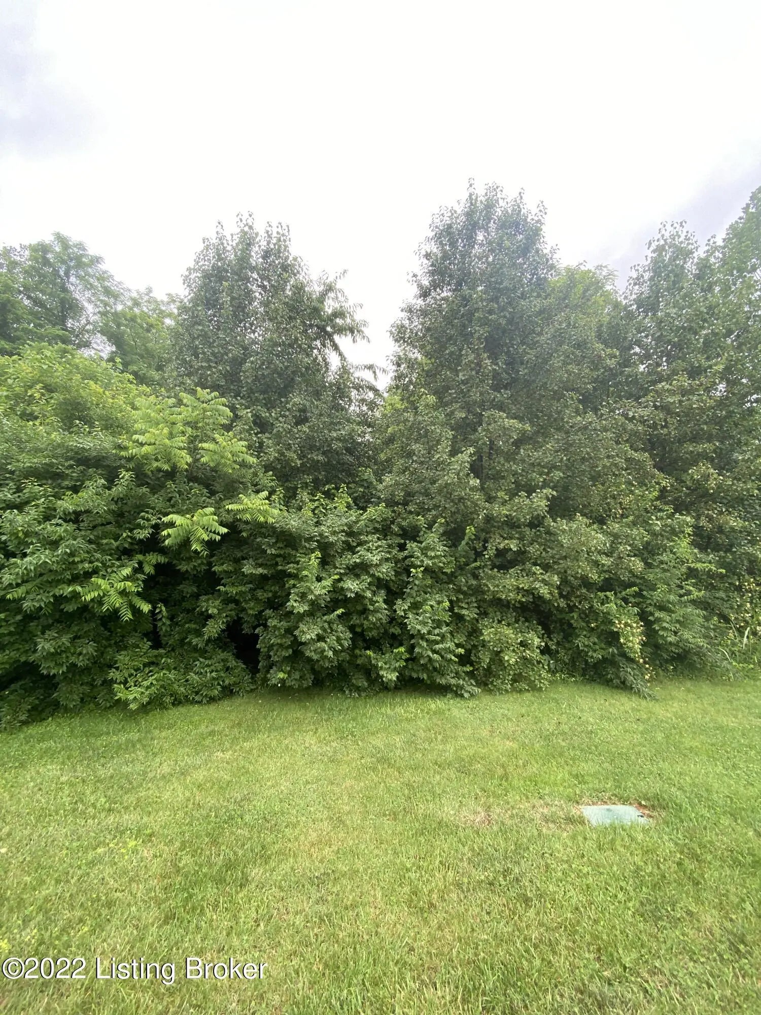 Photo of Listing #1613755