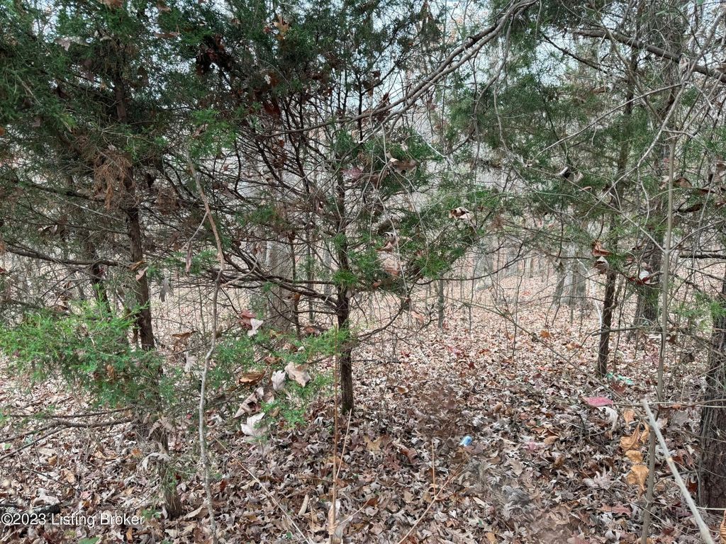 Sleepy Hollow Cir, Clarkson