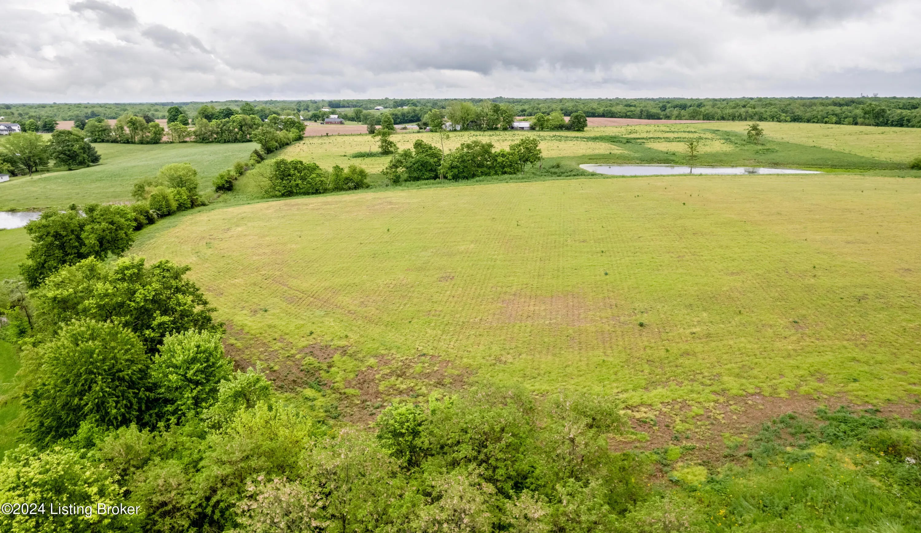 Photo of Listing #1662025