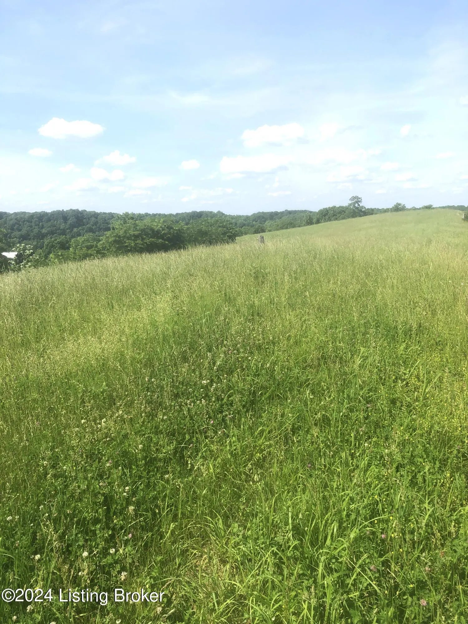 Photo of Listing #1661372