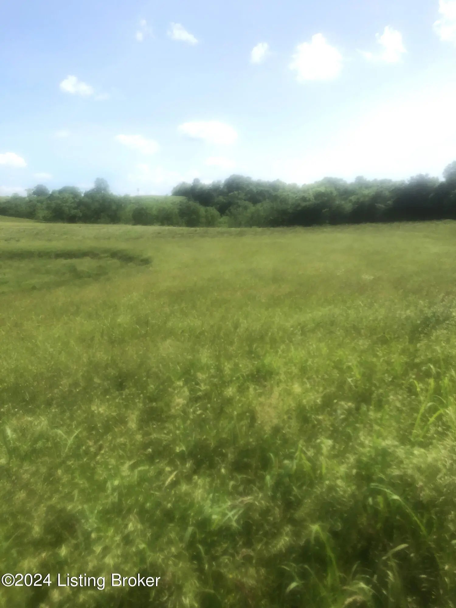 Photo of Listing #1661452