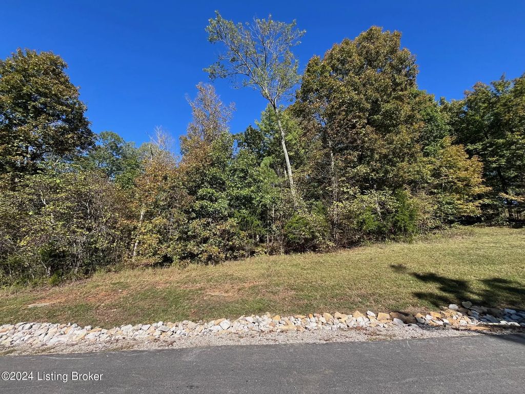 57 Patriots Landing Ln, Falls Of Rough