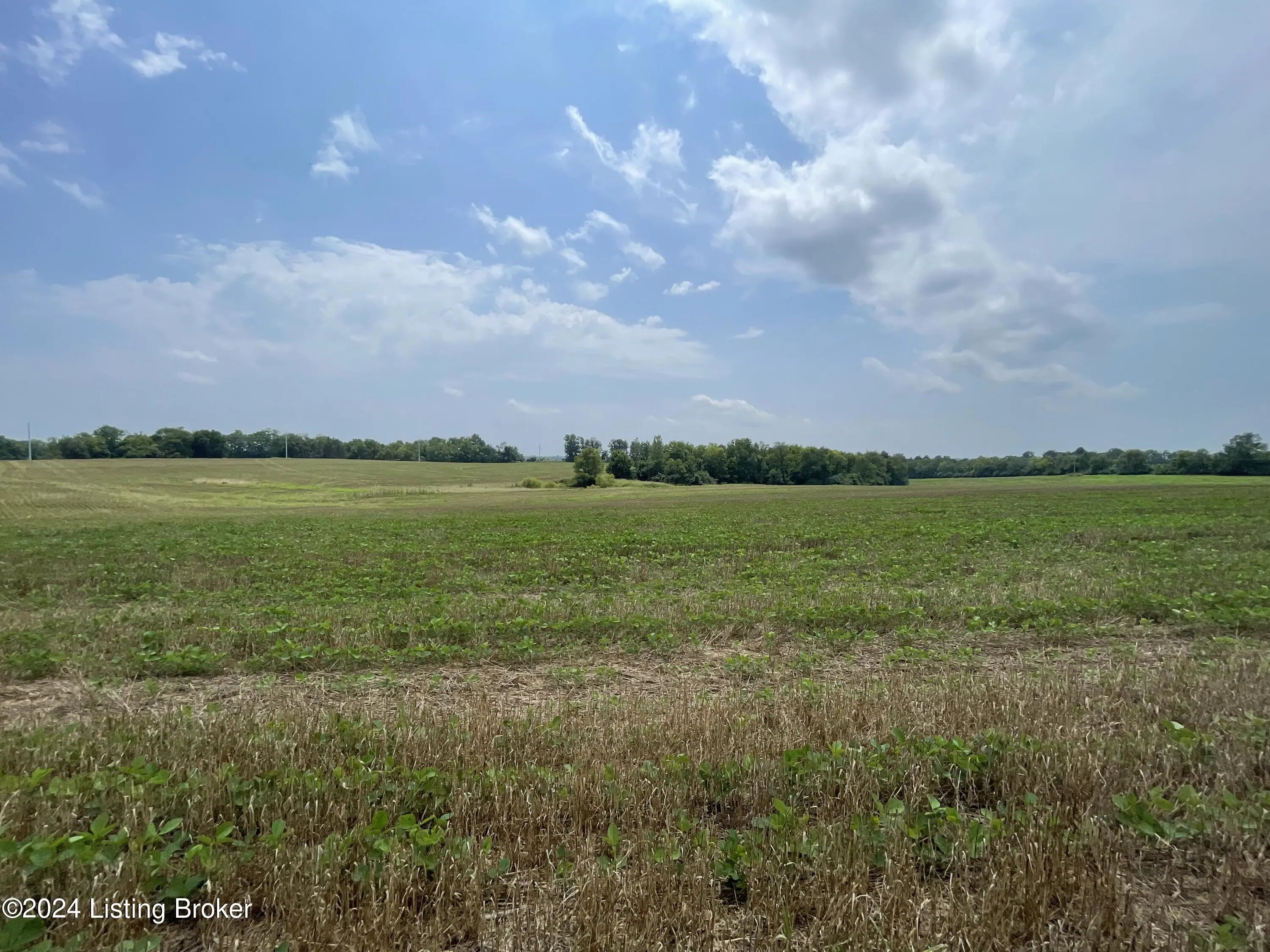 Photo of Listing #1671891
