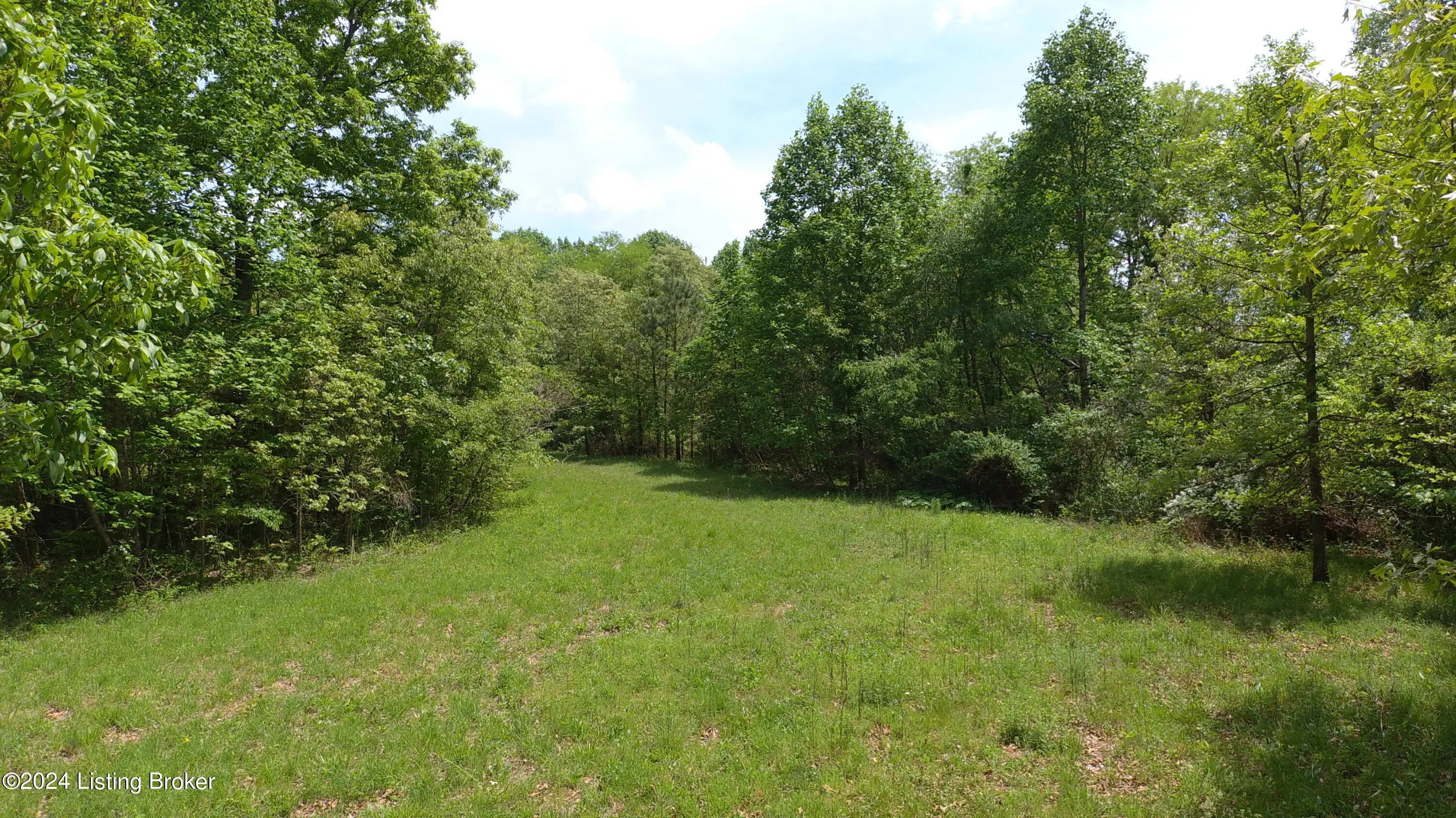 Photo of Listing #1676075