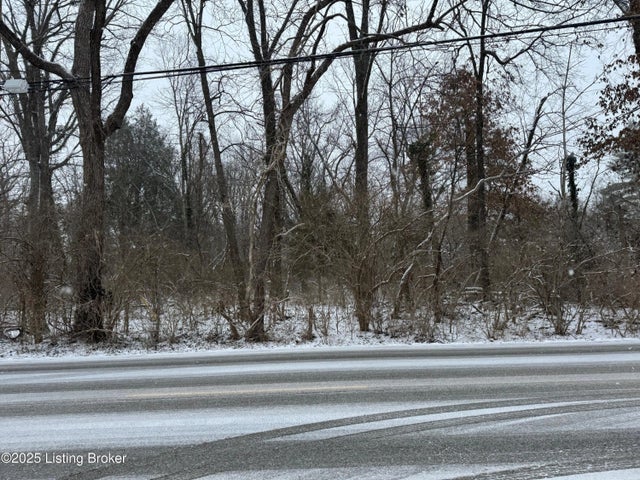 1307 Ormsby Ln, Louisville