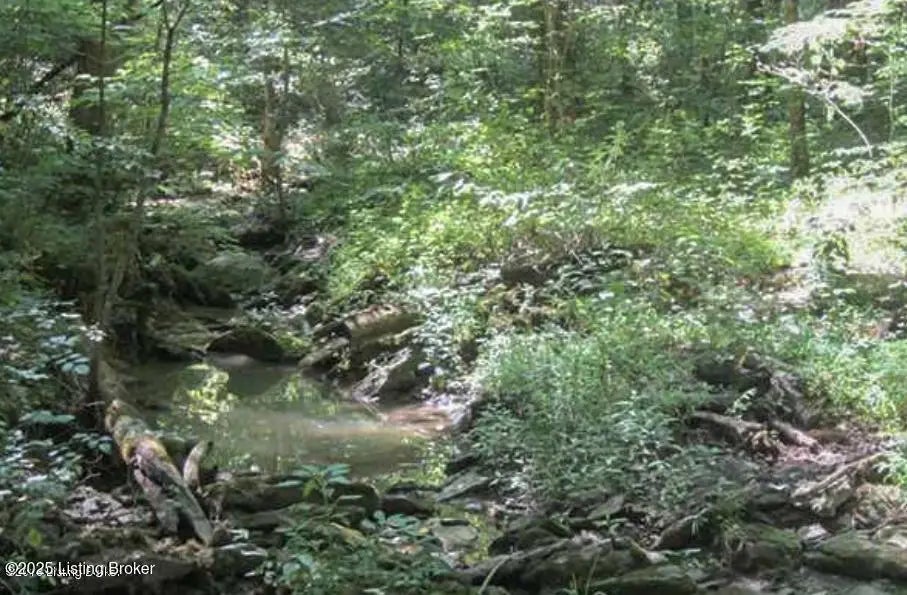 Photo of Listing #1680463