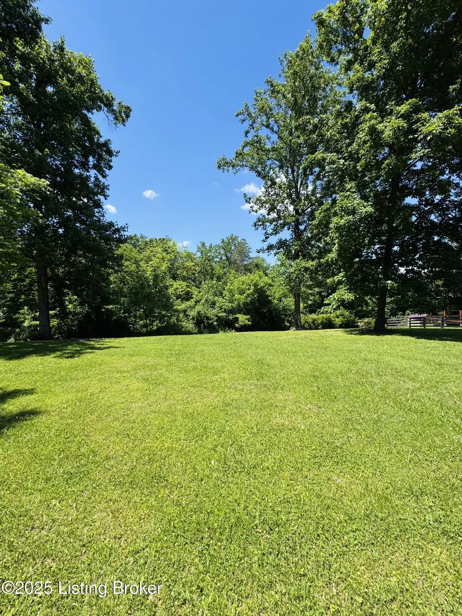 Photo of Listing #1681512