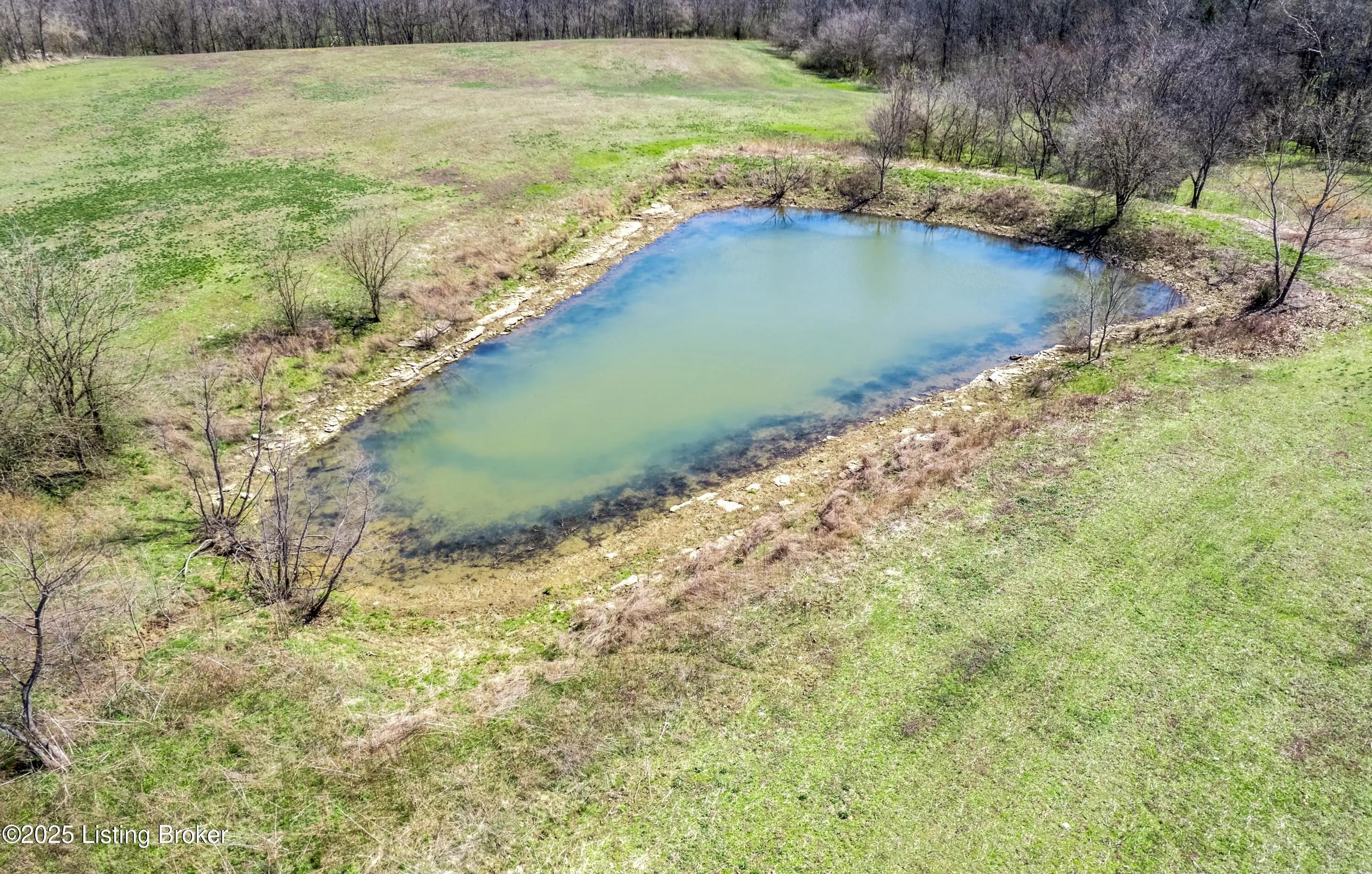 Photo of Listing #1682746