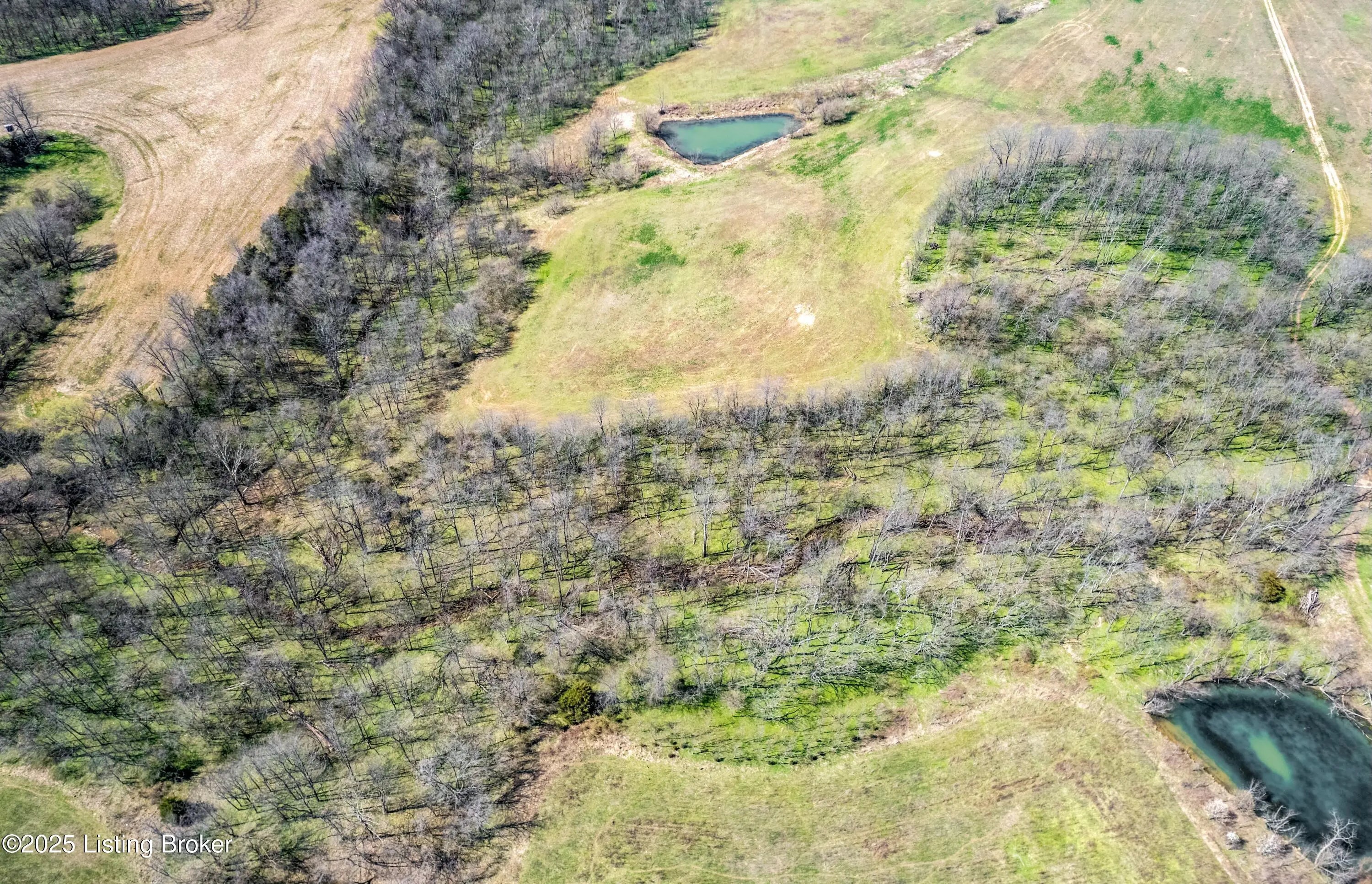 Photo of Listing #1683197