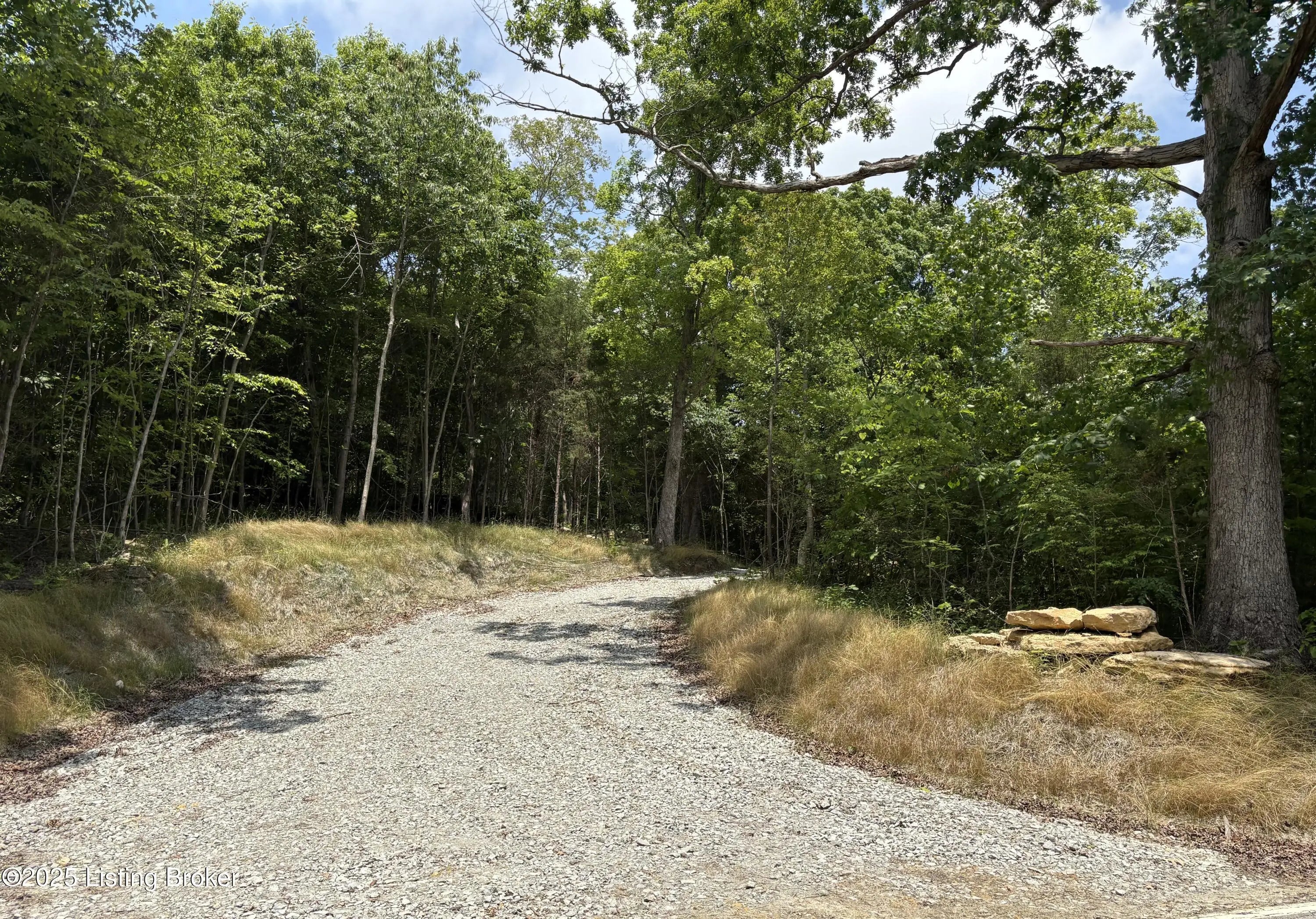 Photo of Listing #1690154