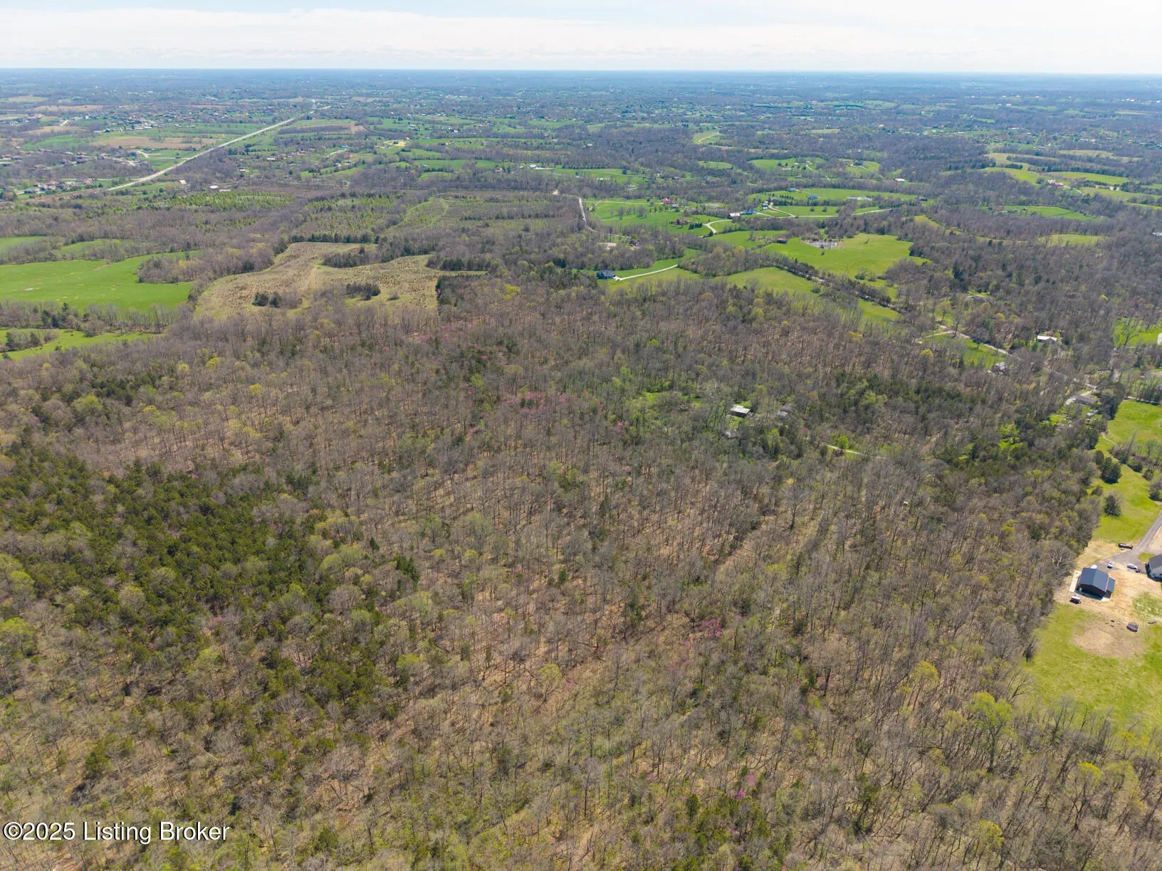 Photo of Listing #1690380