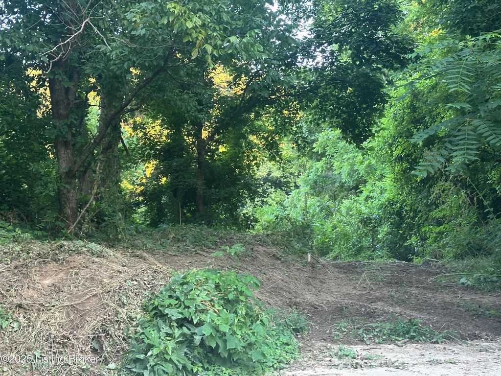 Highway 49, Bradfordsville