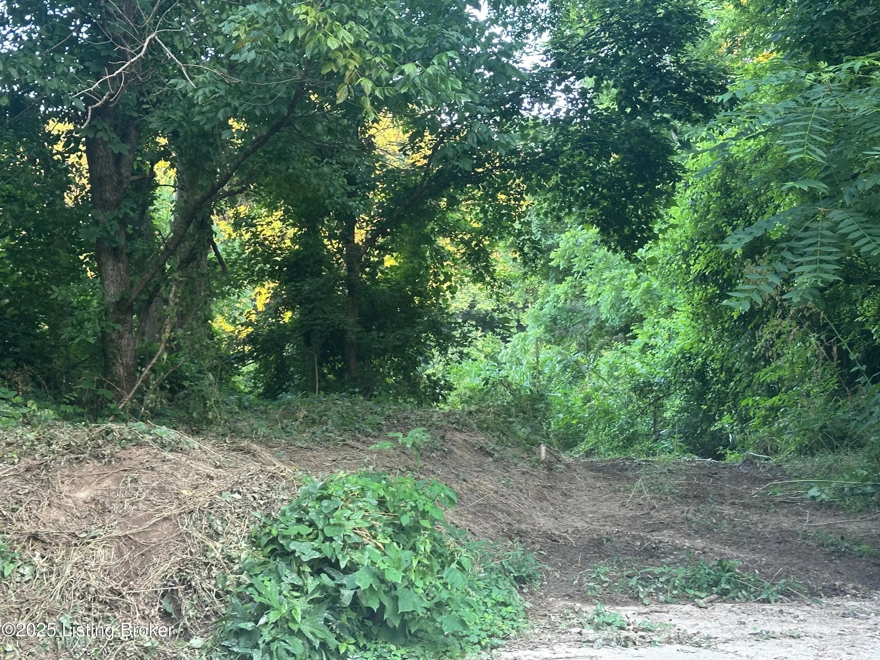 Photo of Listing #1690407