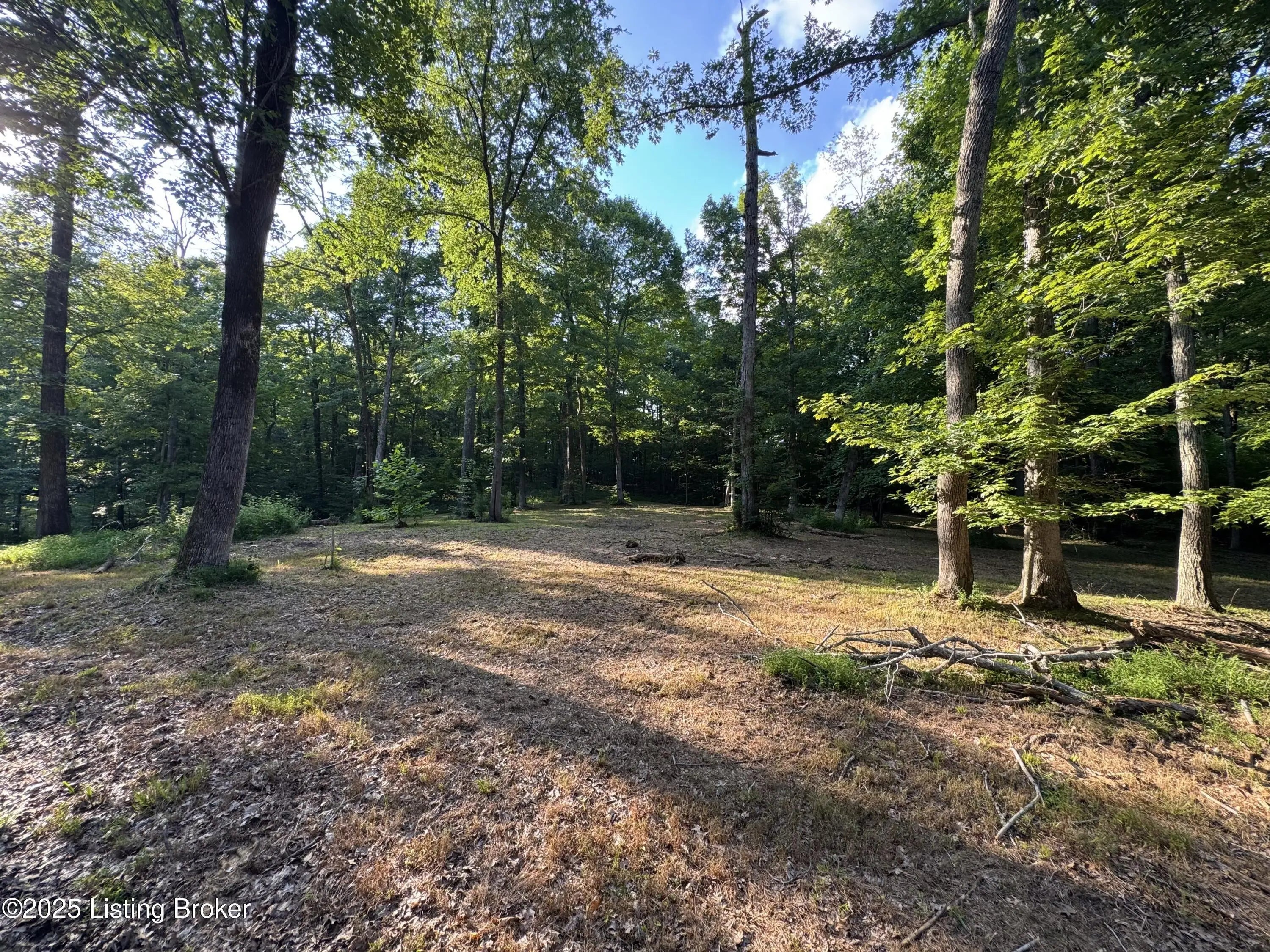 Photo of Listing #1693312