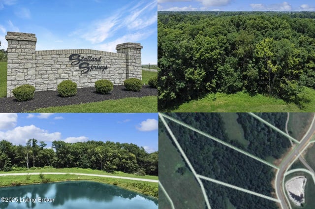 Tract 46 Stallard Springs/ Boots Ct, Shelbyville