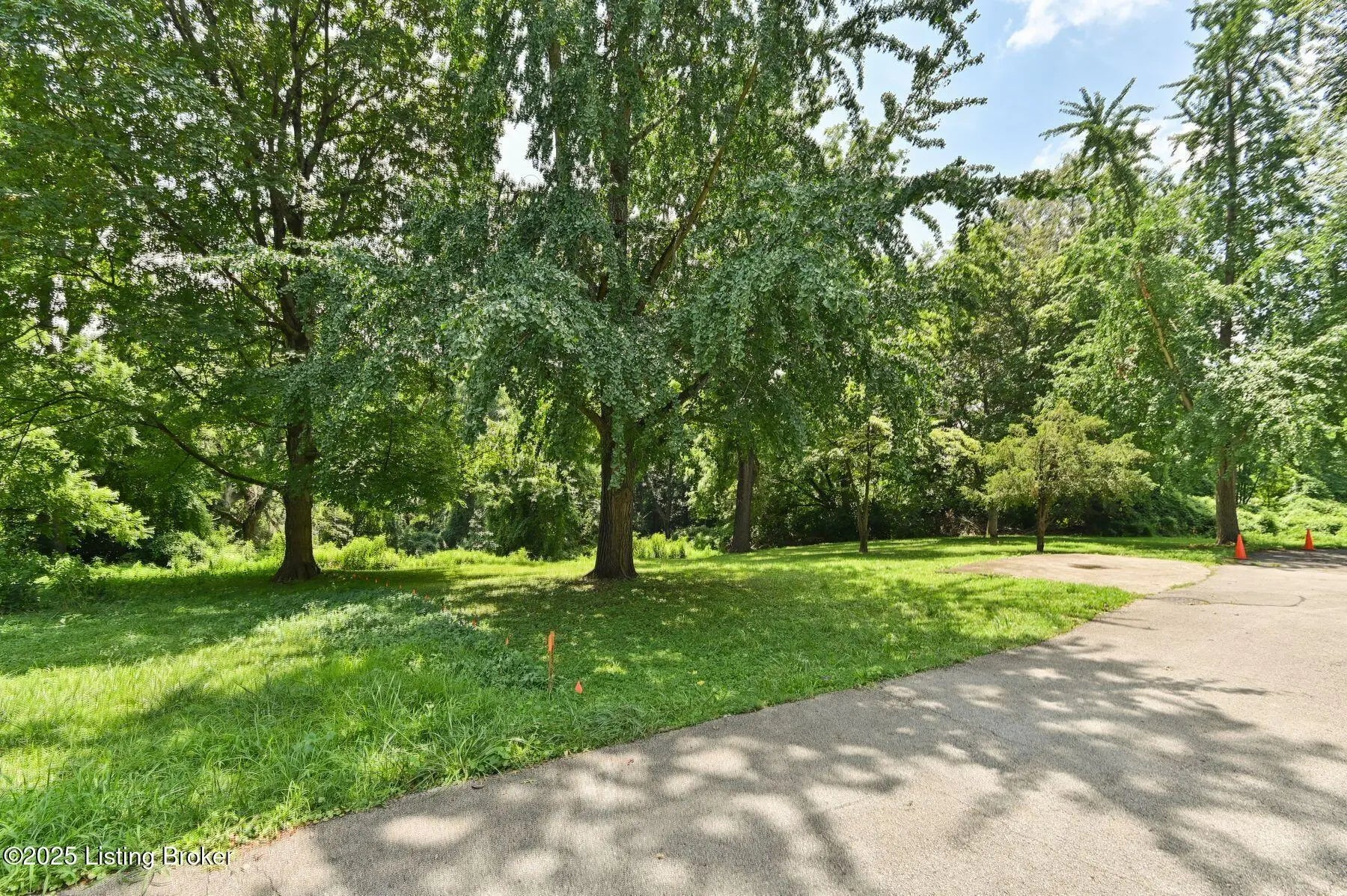 Photo of Listing #1694123