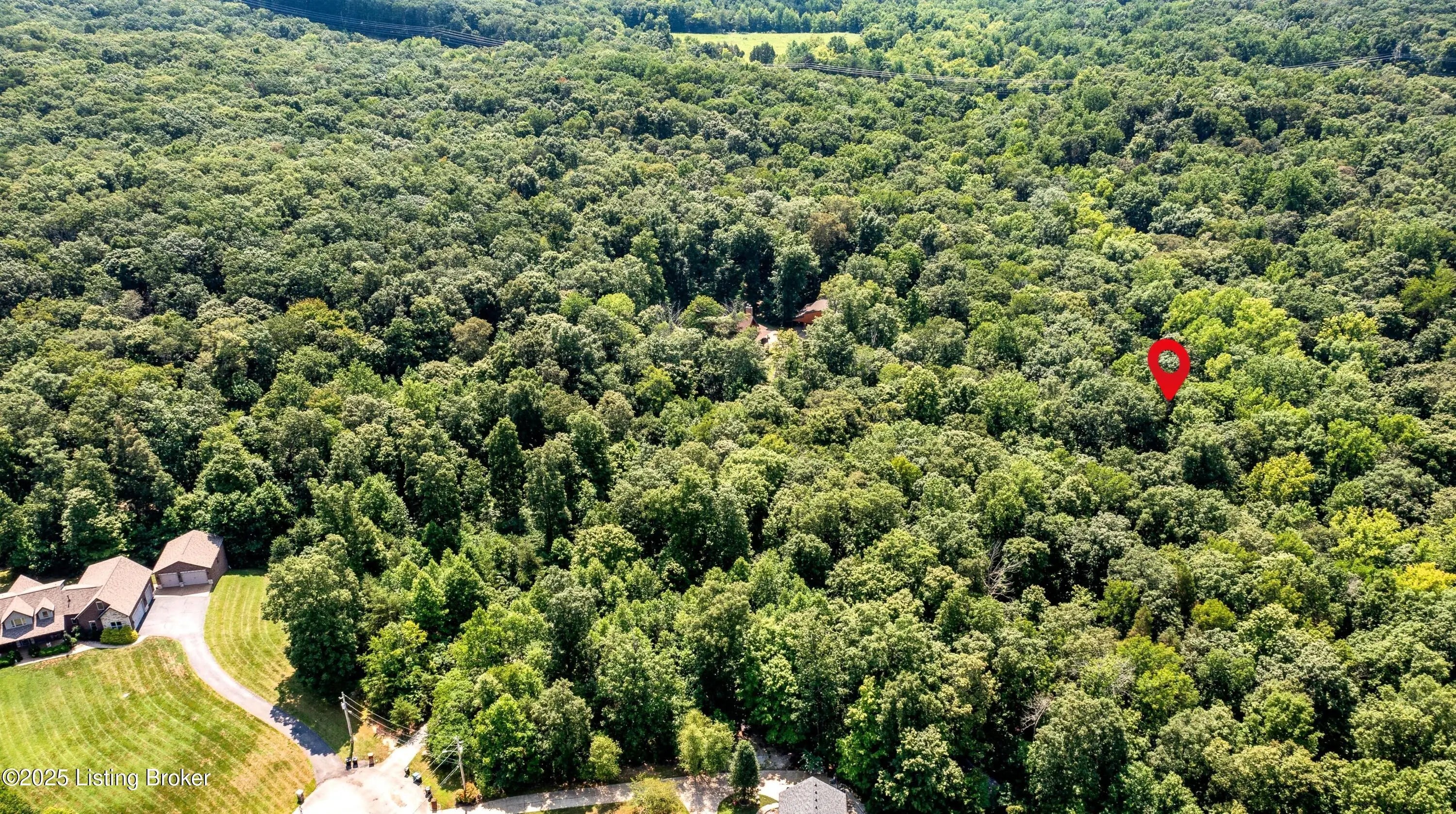 Photo of Listing #1694646