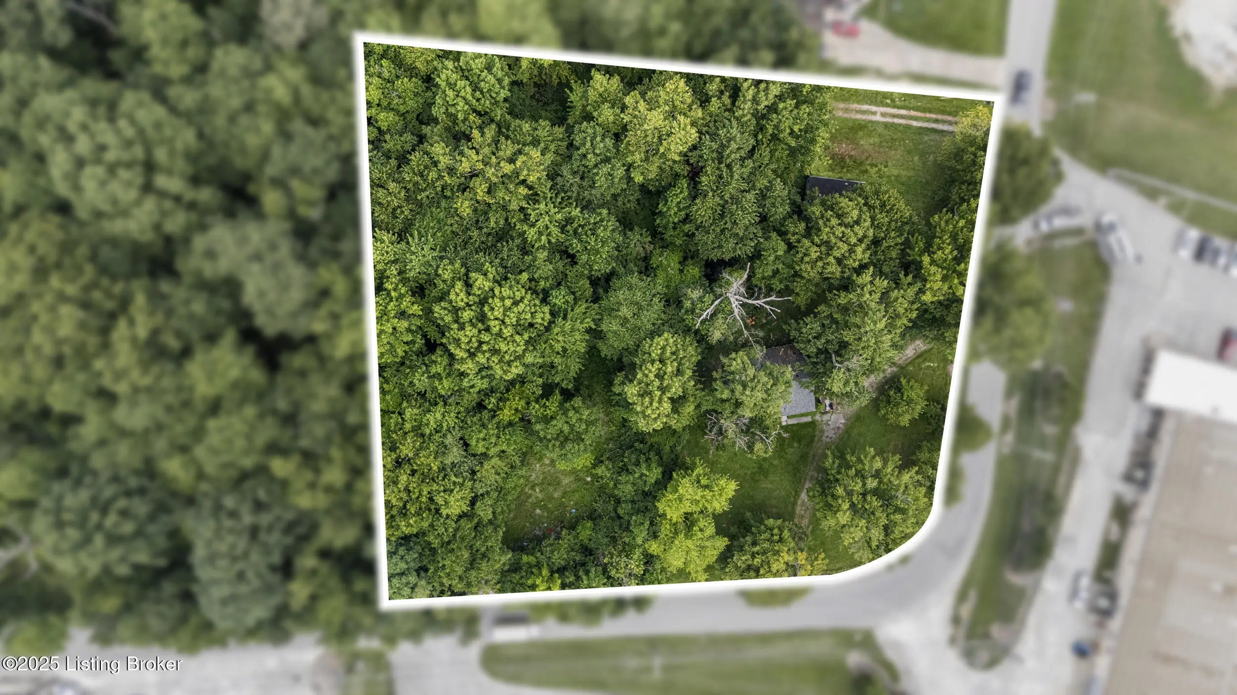 Photo of Listing #1694455