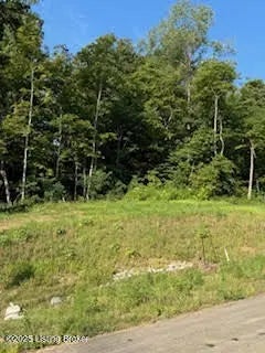 5309 Sycamore Ridge Ln, La Grange