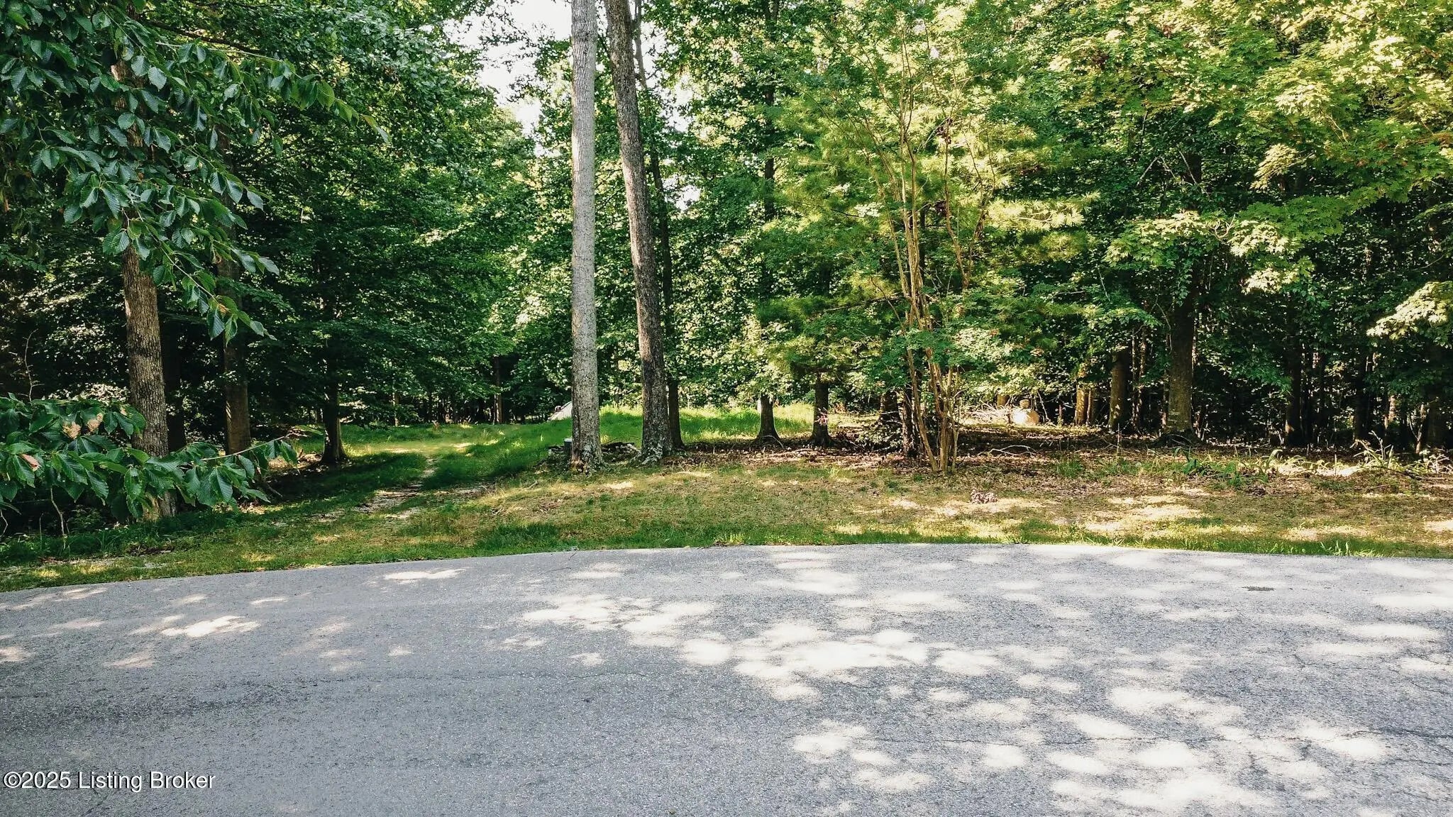 Photo of Listing #1695271