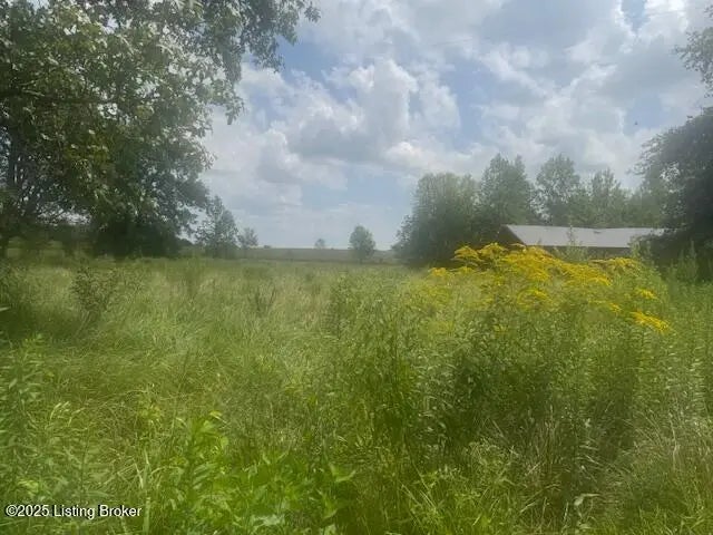 Photo of Listing #1695340