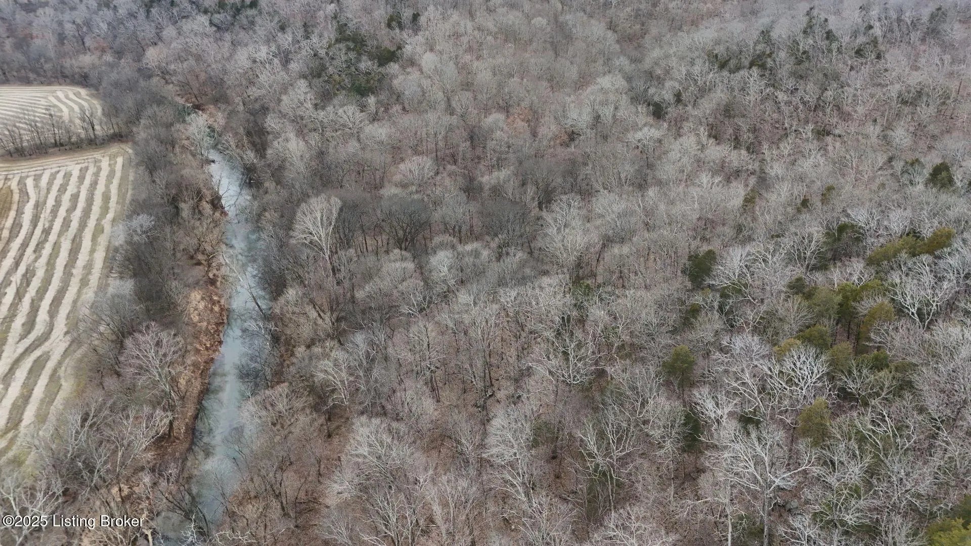 Photo of Listing #1696891