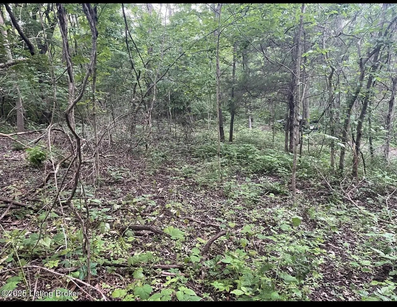 Photo of Listing #1697407