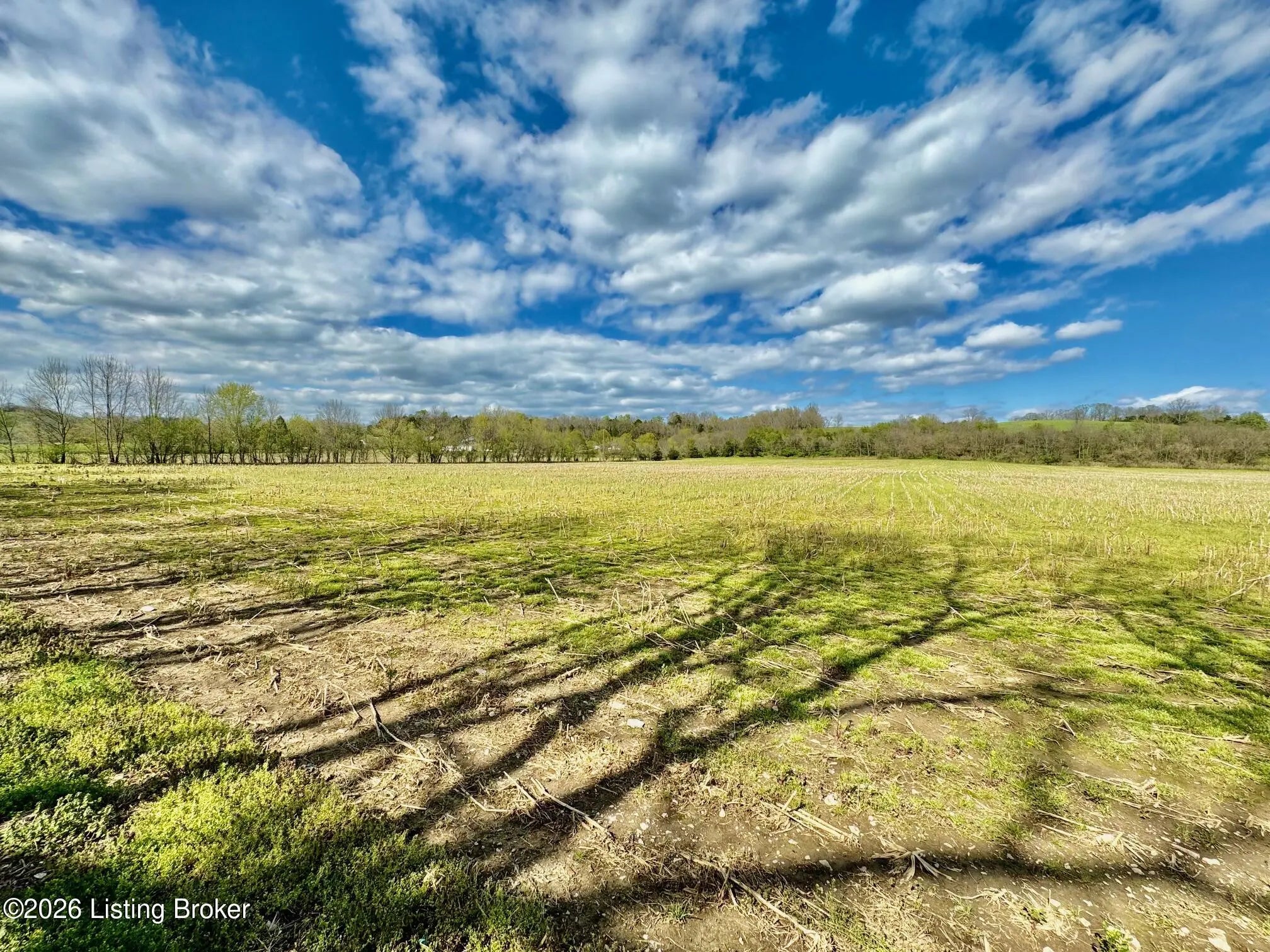 Photo of Listing #1697578