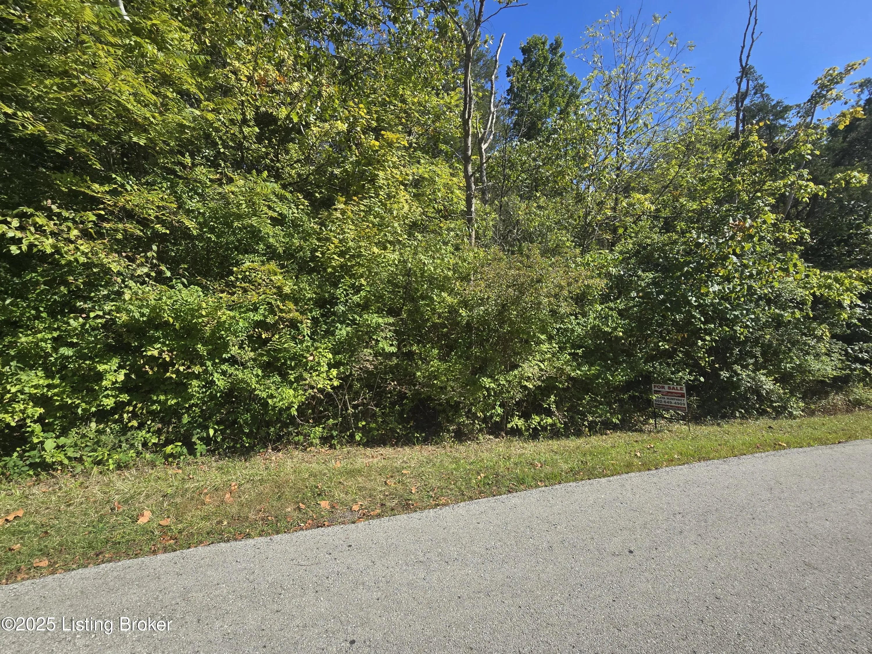 Photo of Listing #1697710