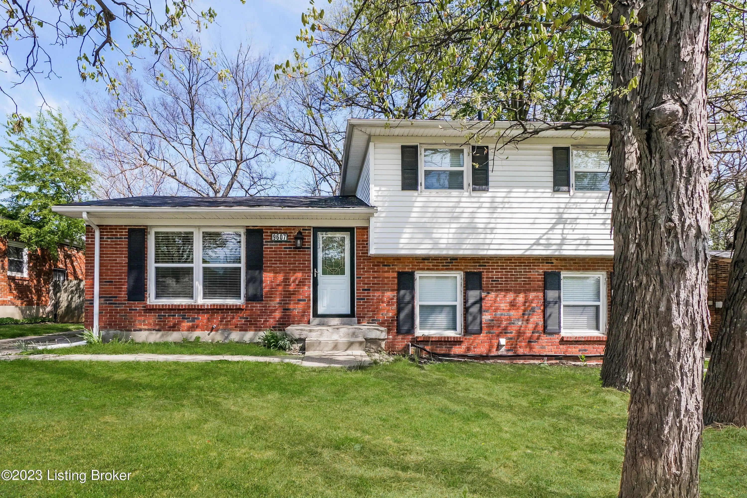 Photo of Listing #1698021