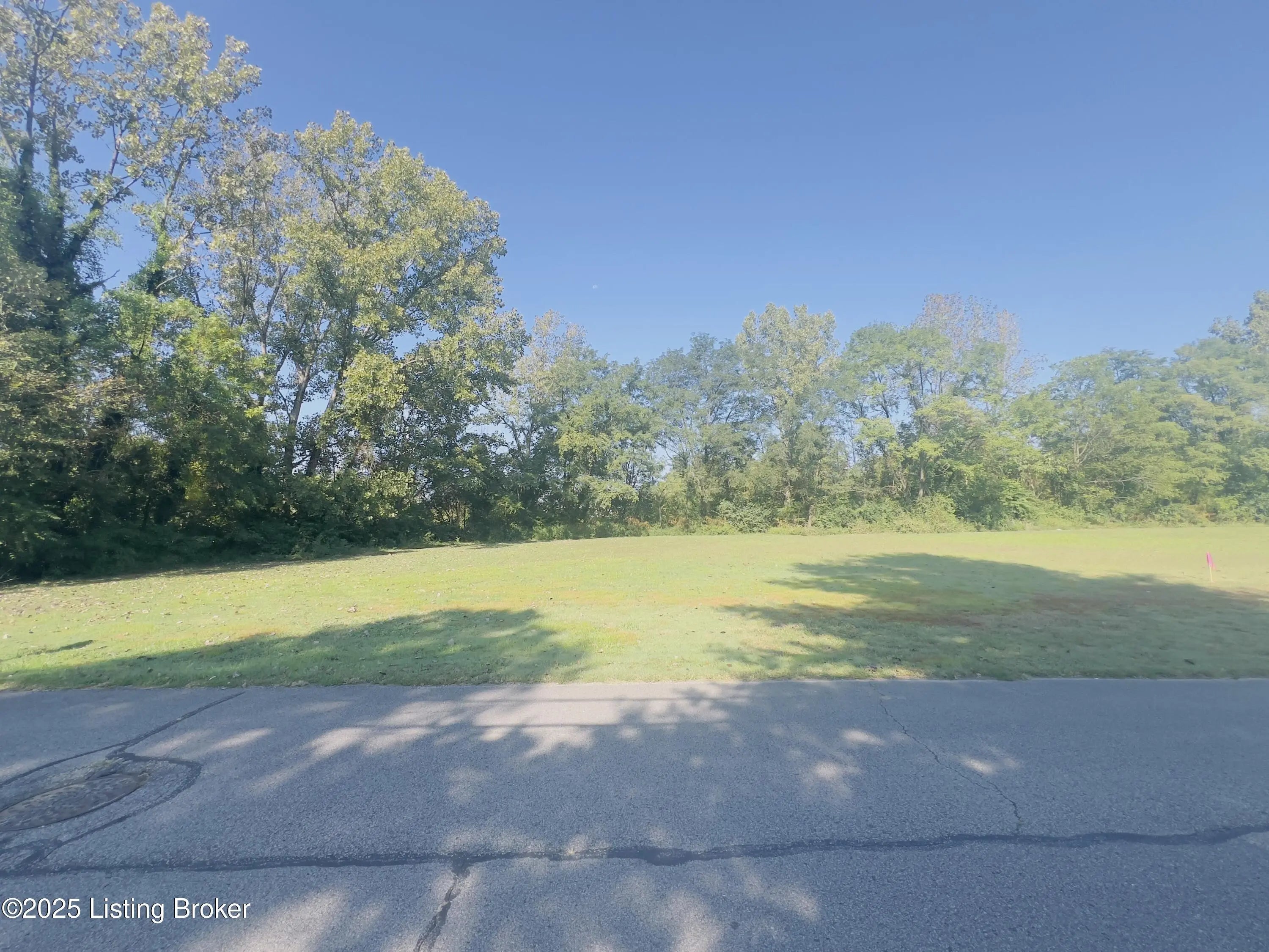 Photo of Listing #1698055