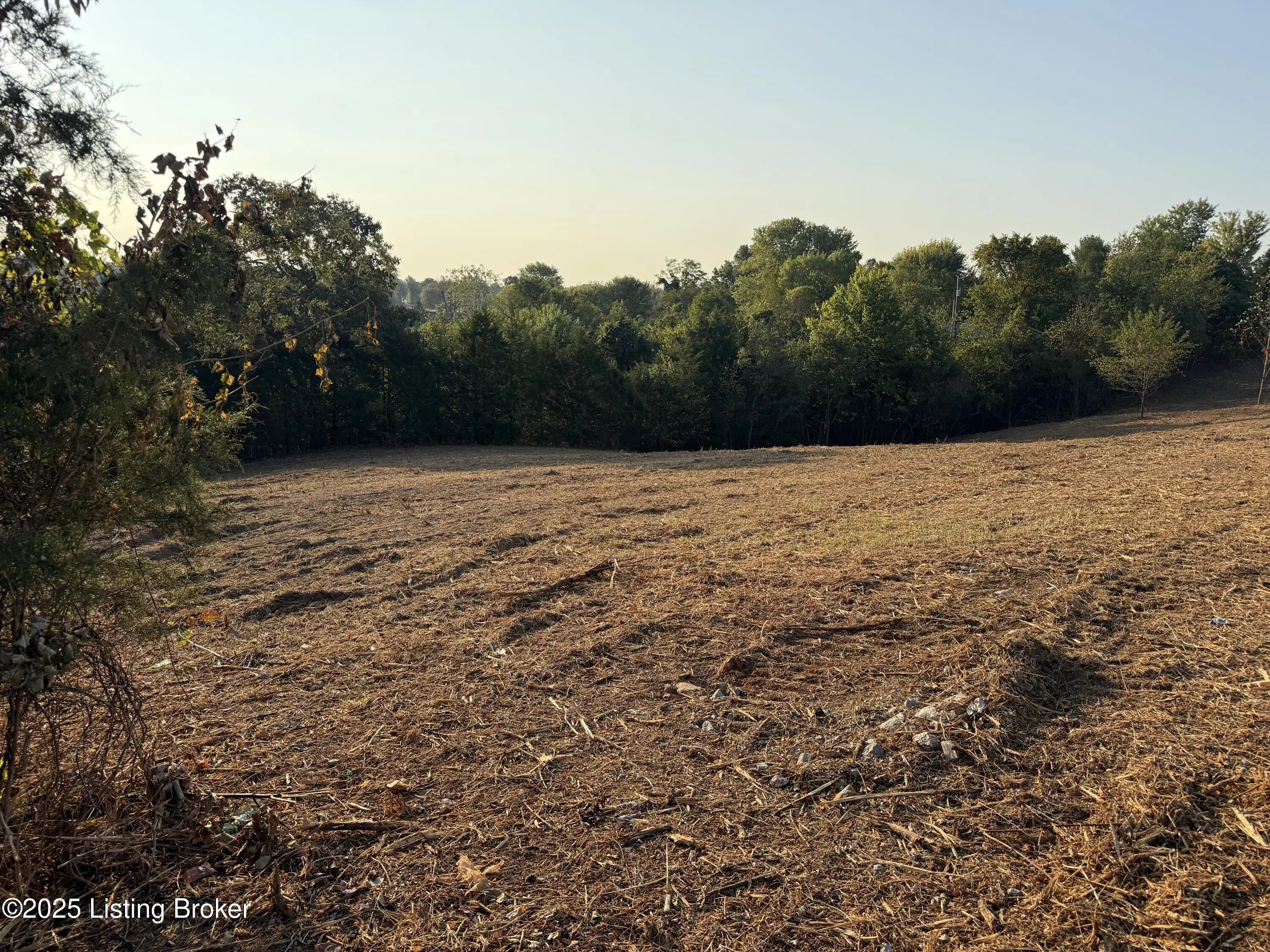 Photo of Listing #1698497