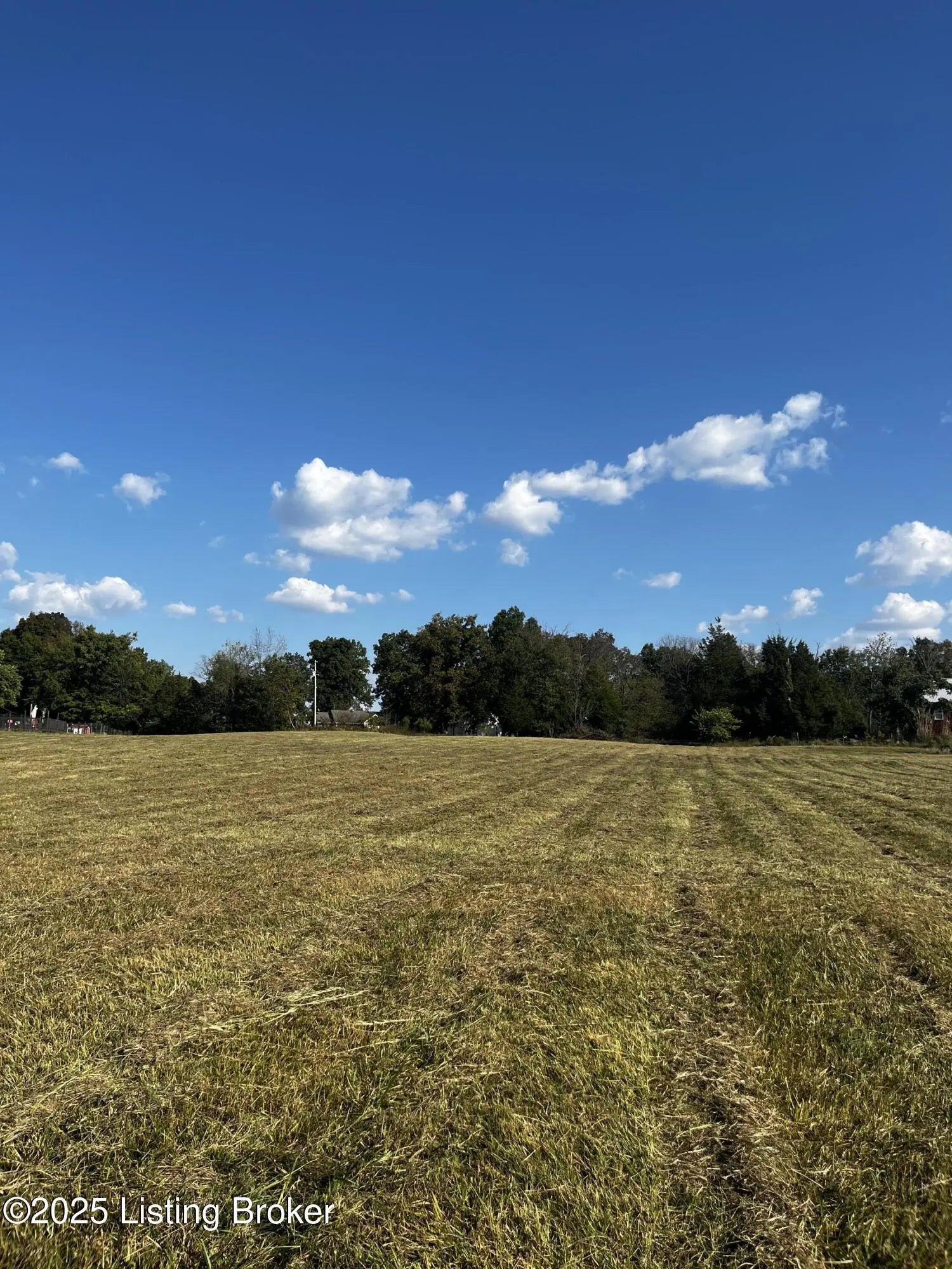 Photo of Listing #1699466