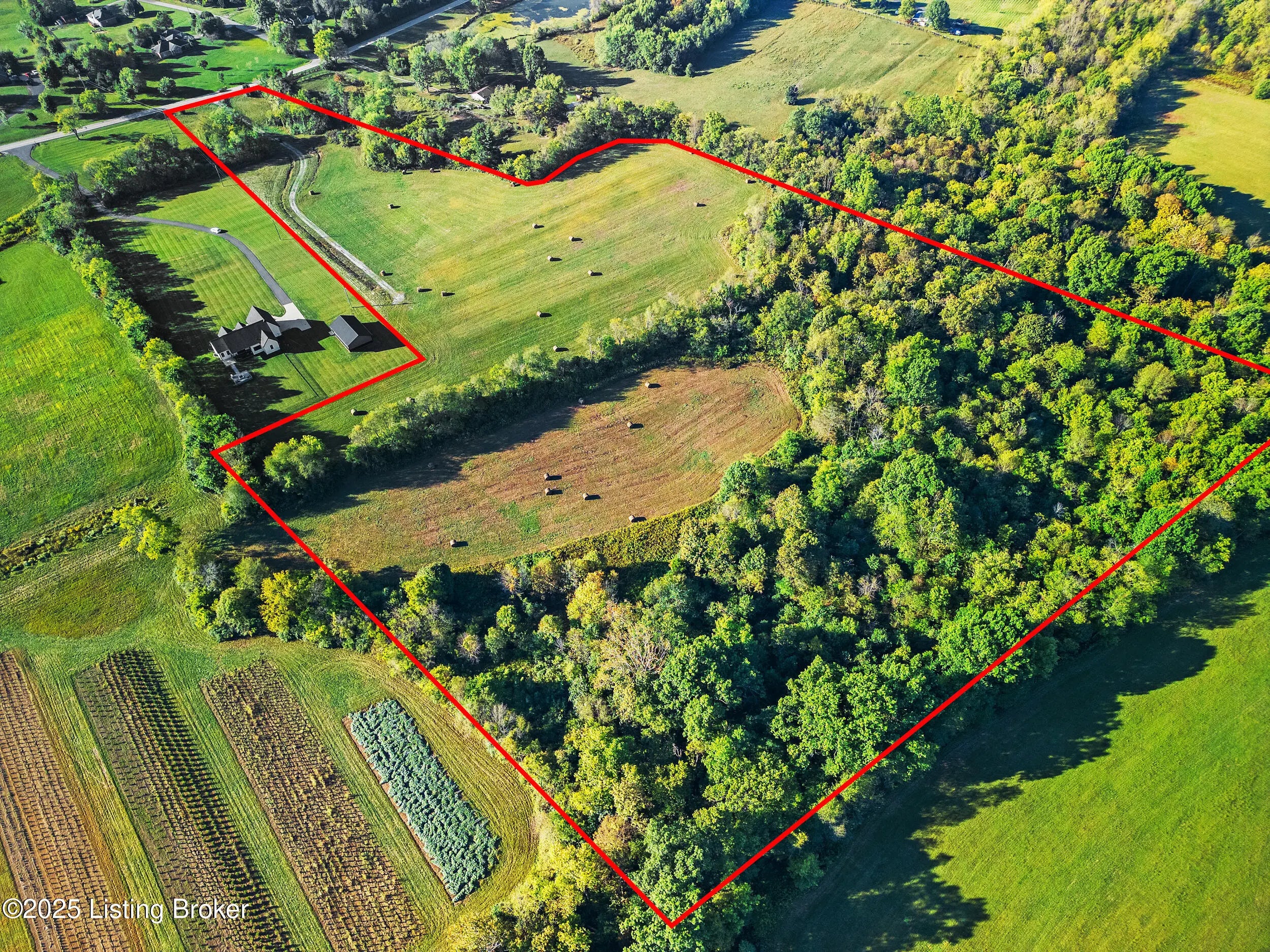 Photo of Listing #1699651