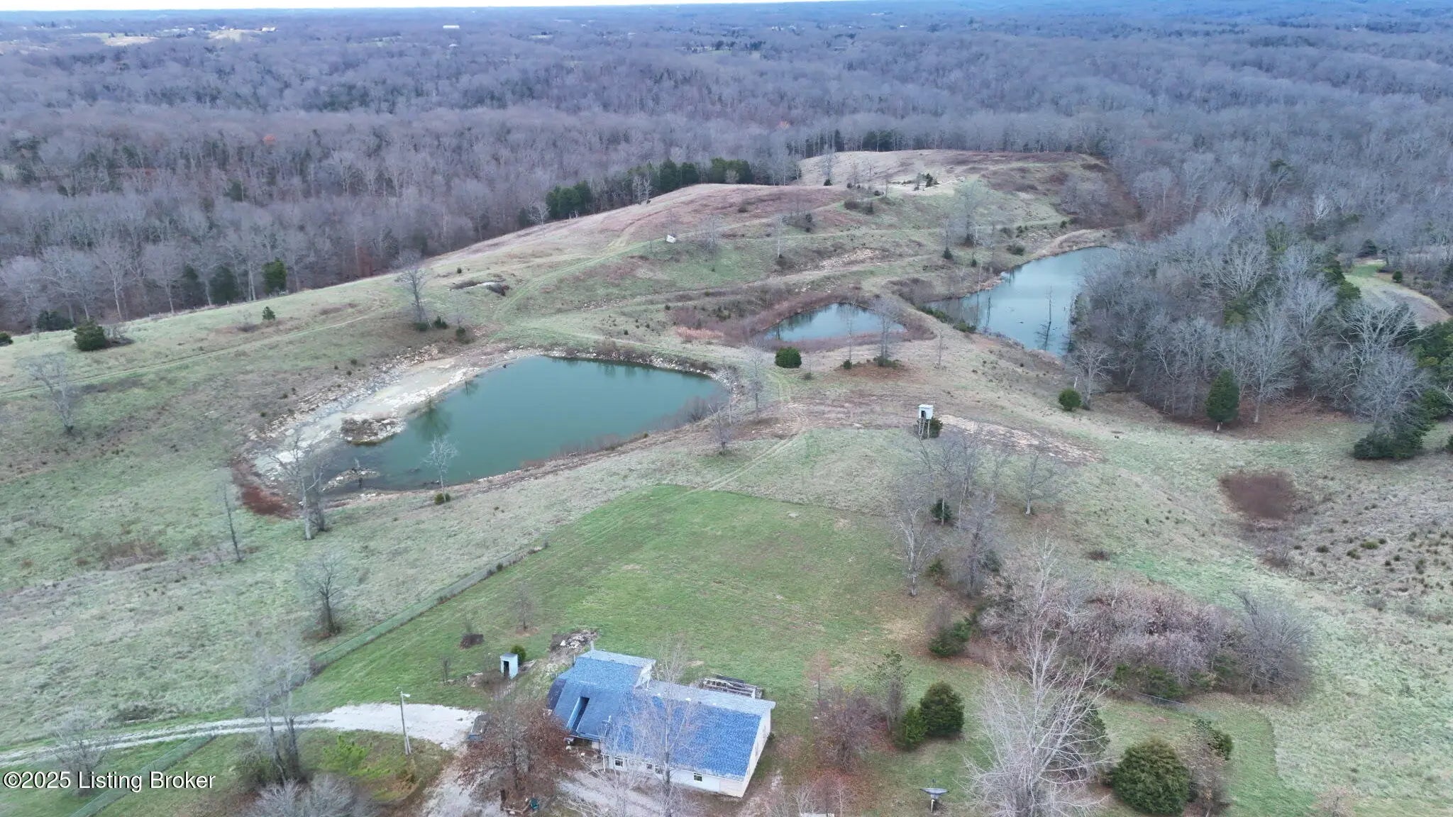 Photo of Listing #1702930