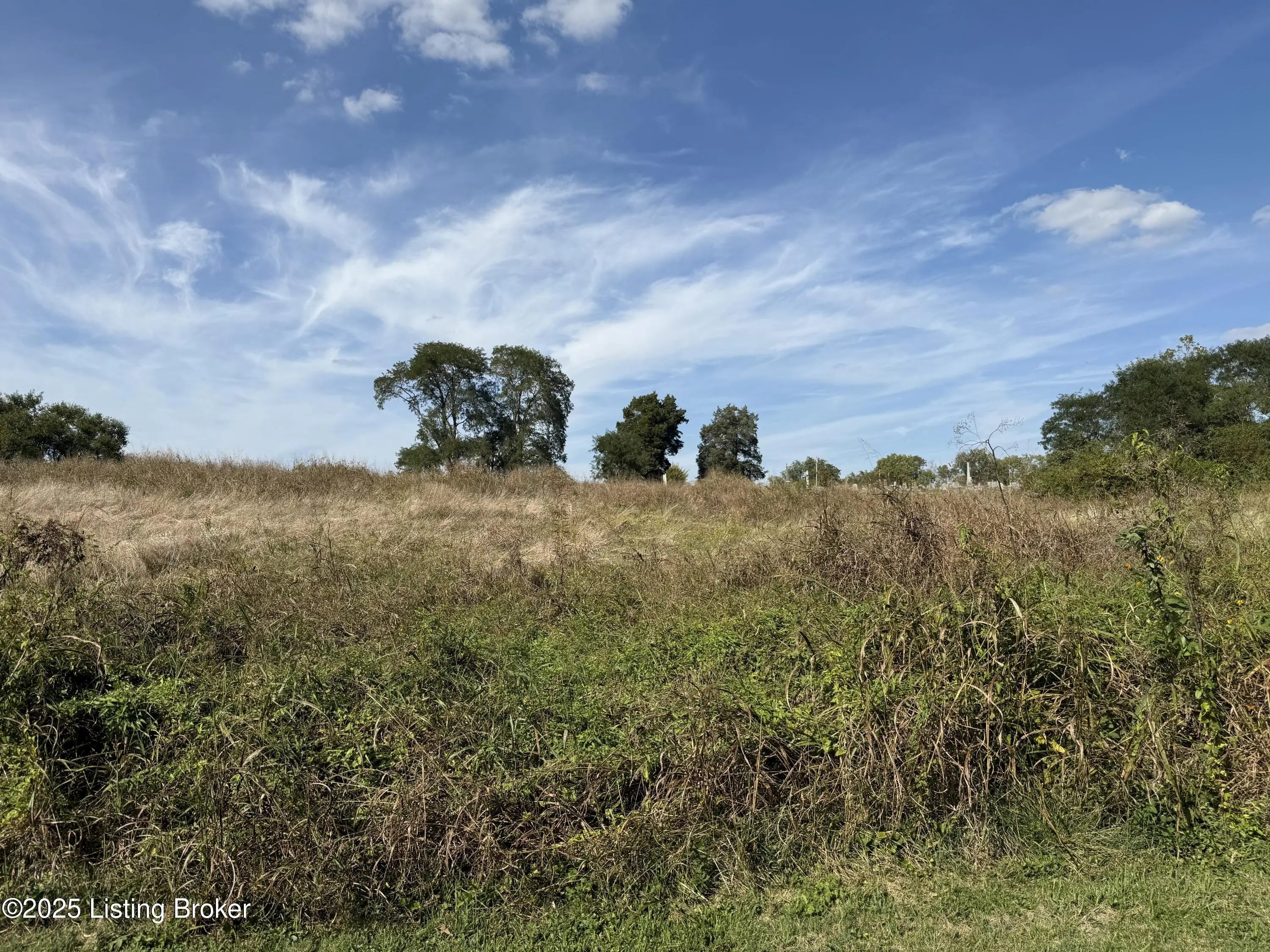 Photo of Listing #1699643