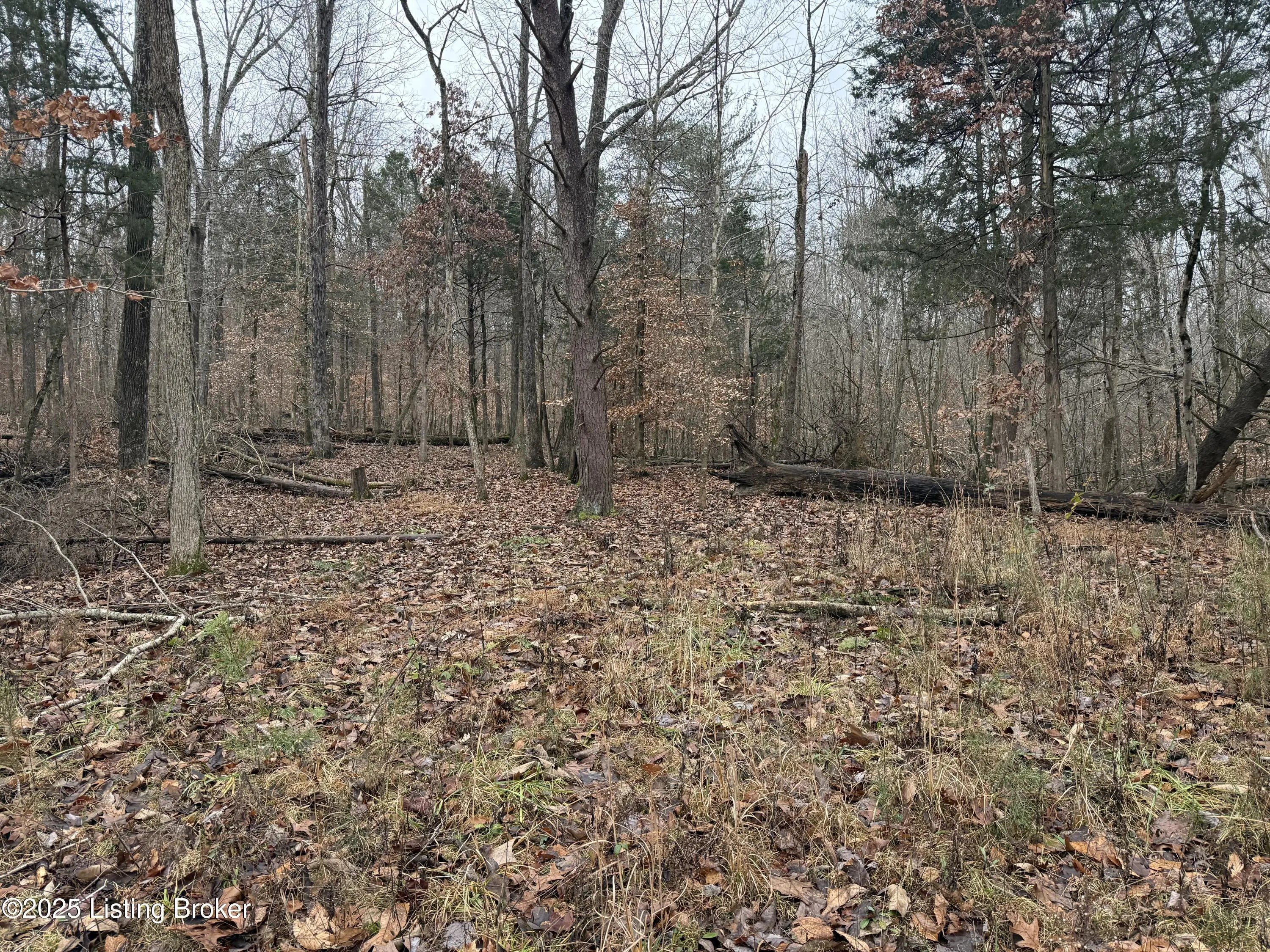 Photo of Listing #1699956