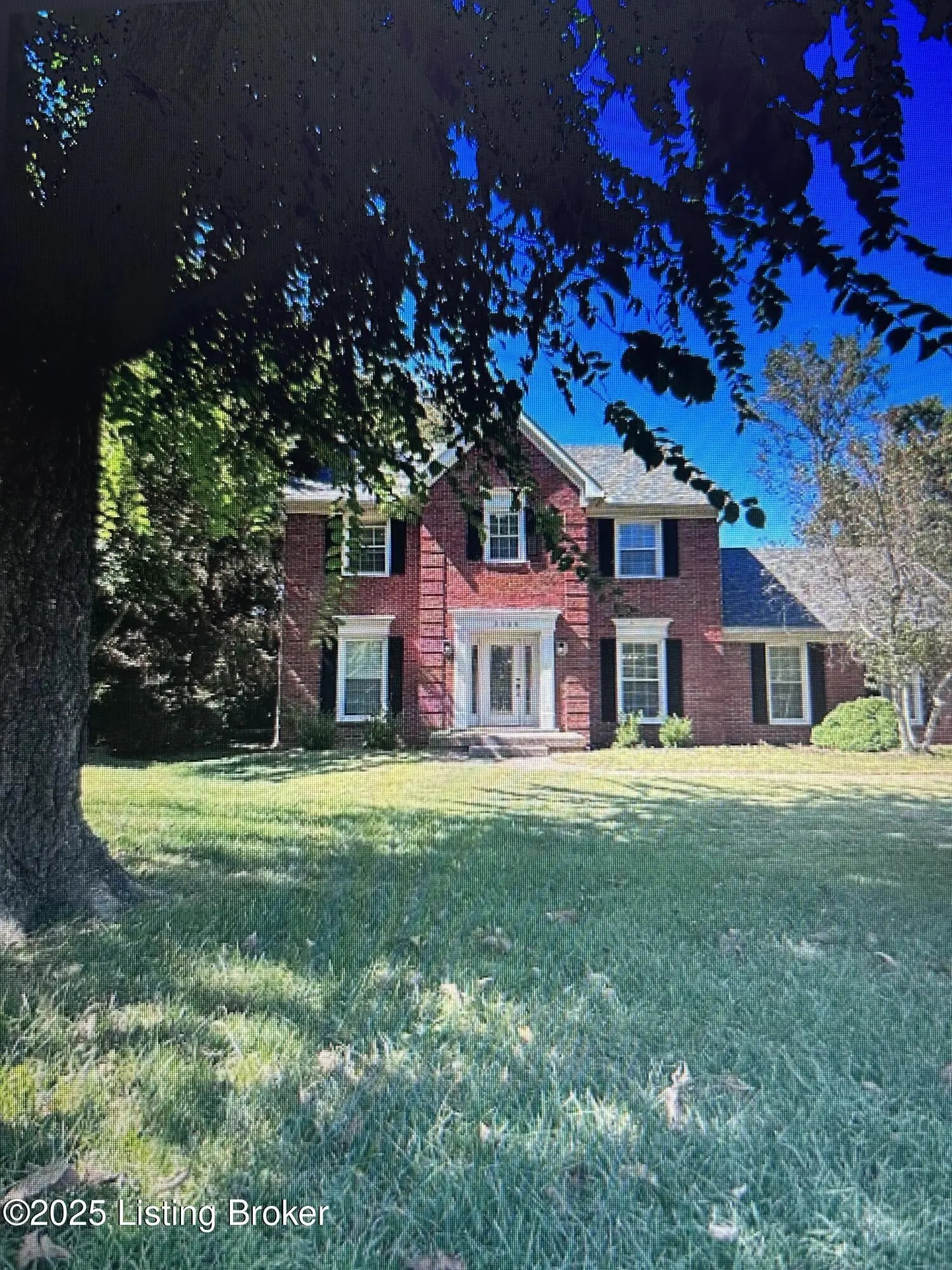 Photo of Listing #1700056