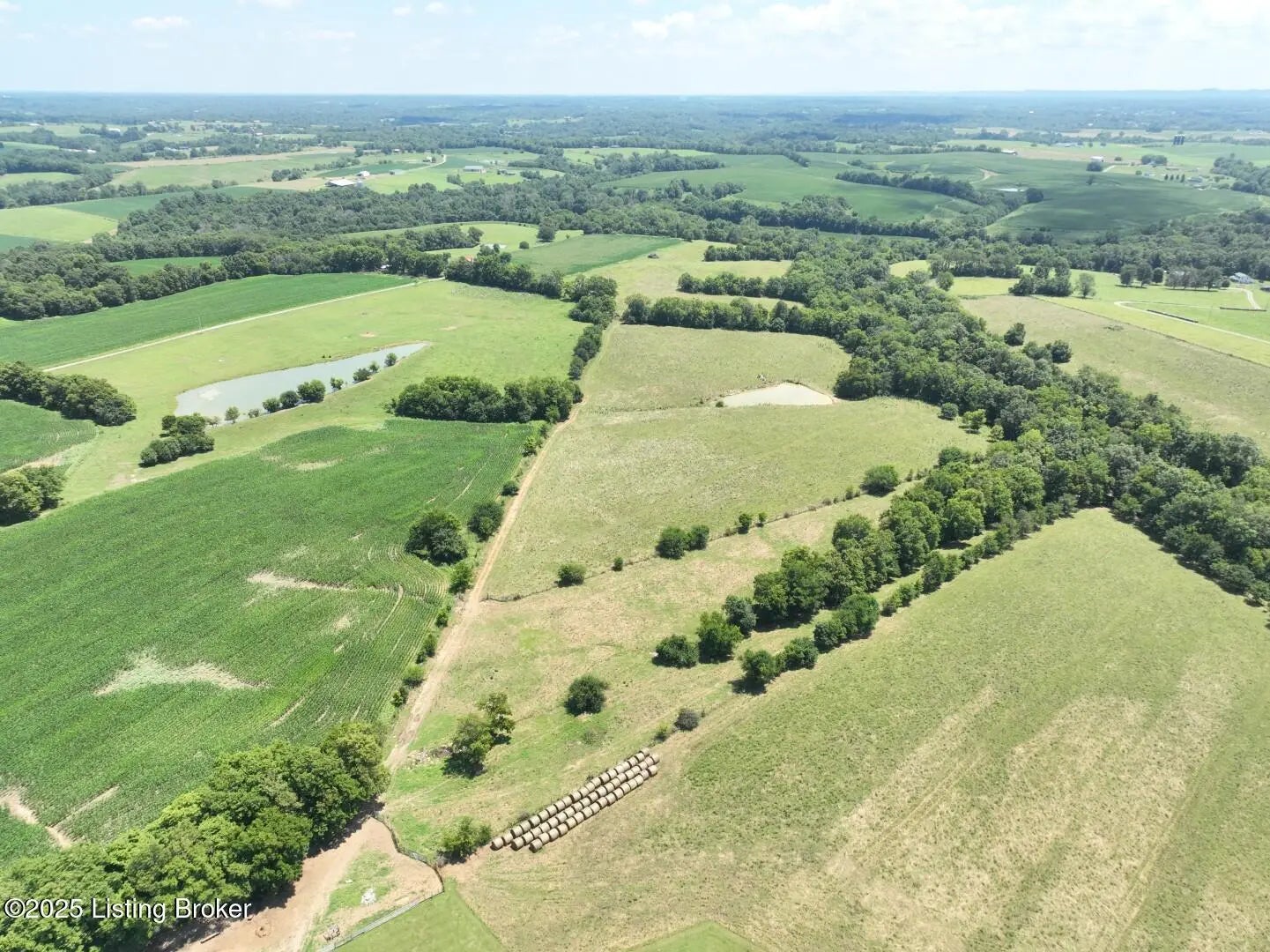 Photo of Listing #1700033