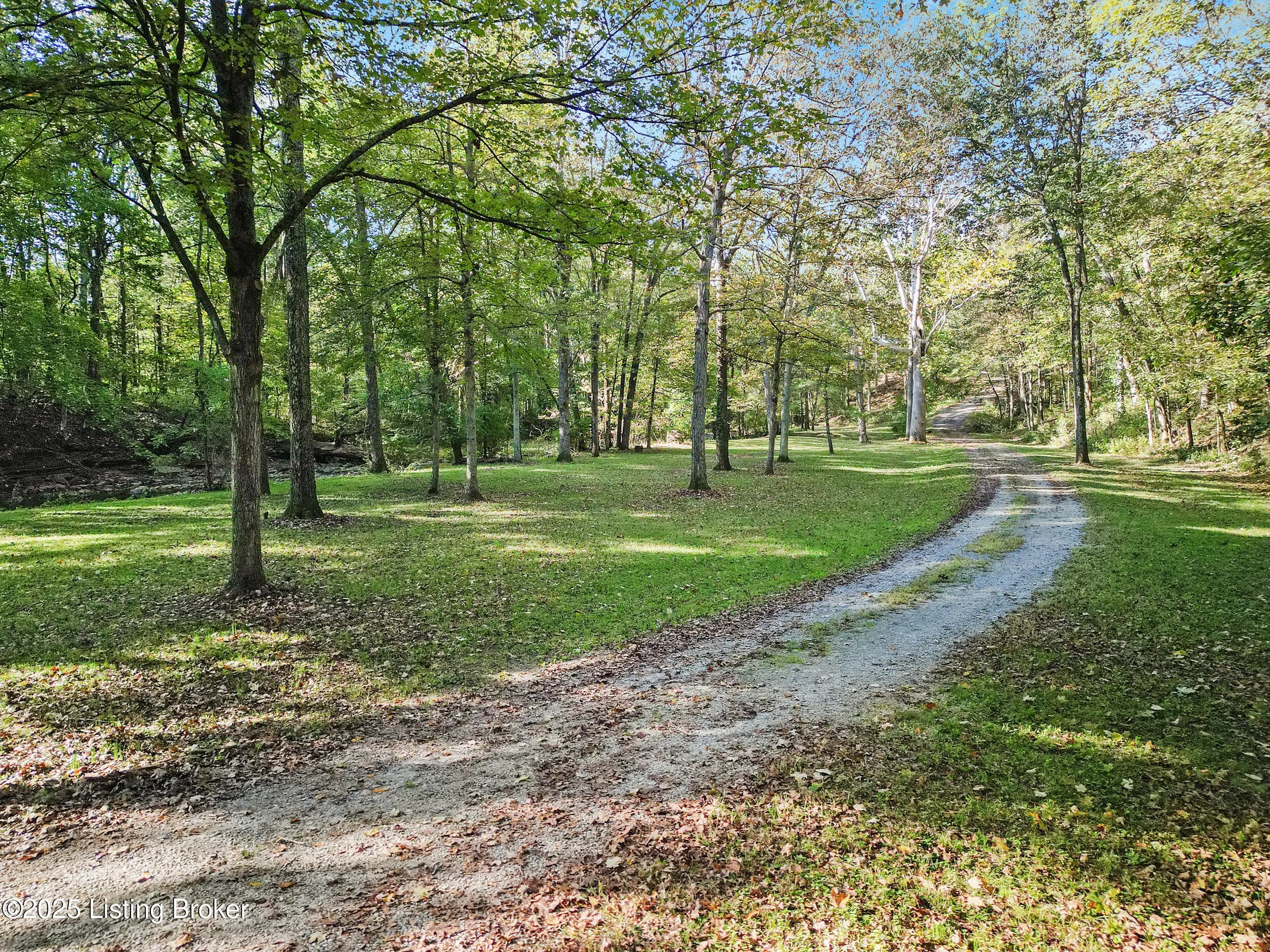 Photo of Listing #1700685