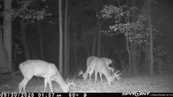 Photo of Listing #1700658