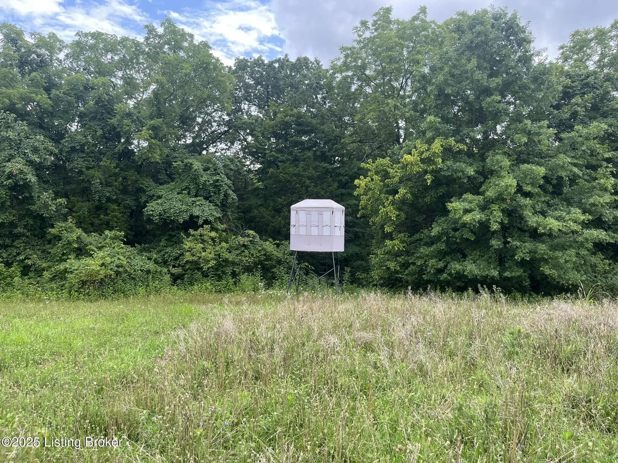 Photo of Listing #1700661