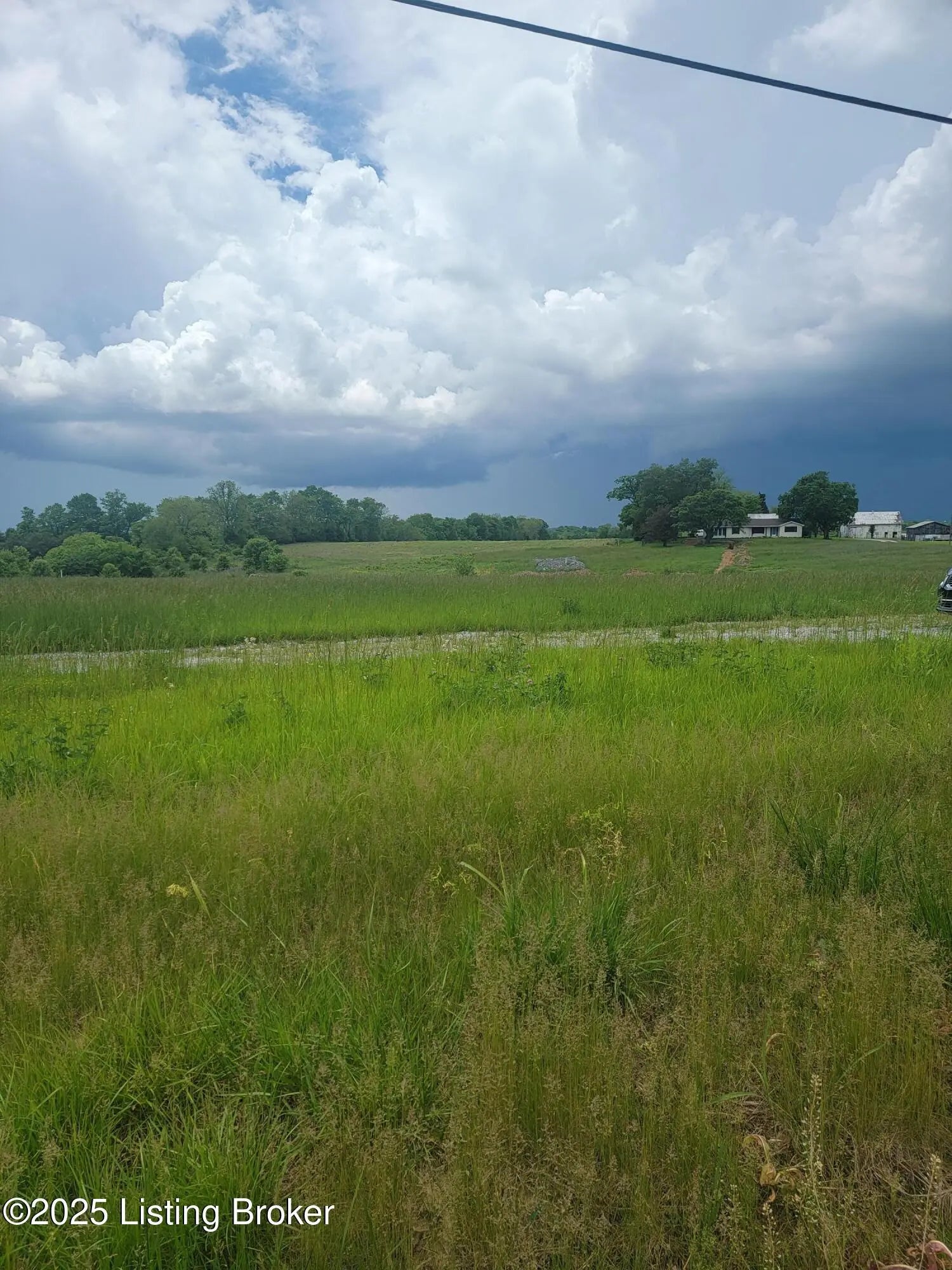 Photo of Listing #1701307