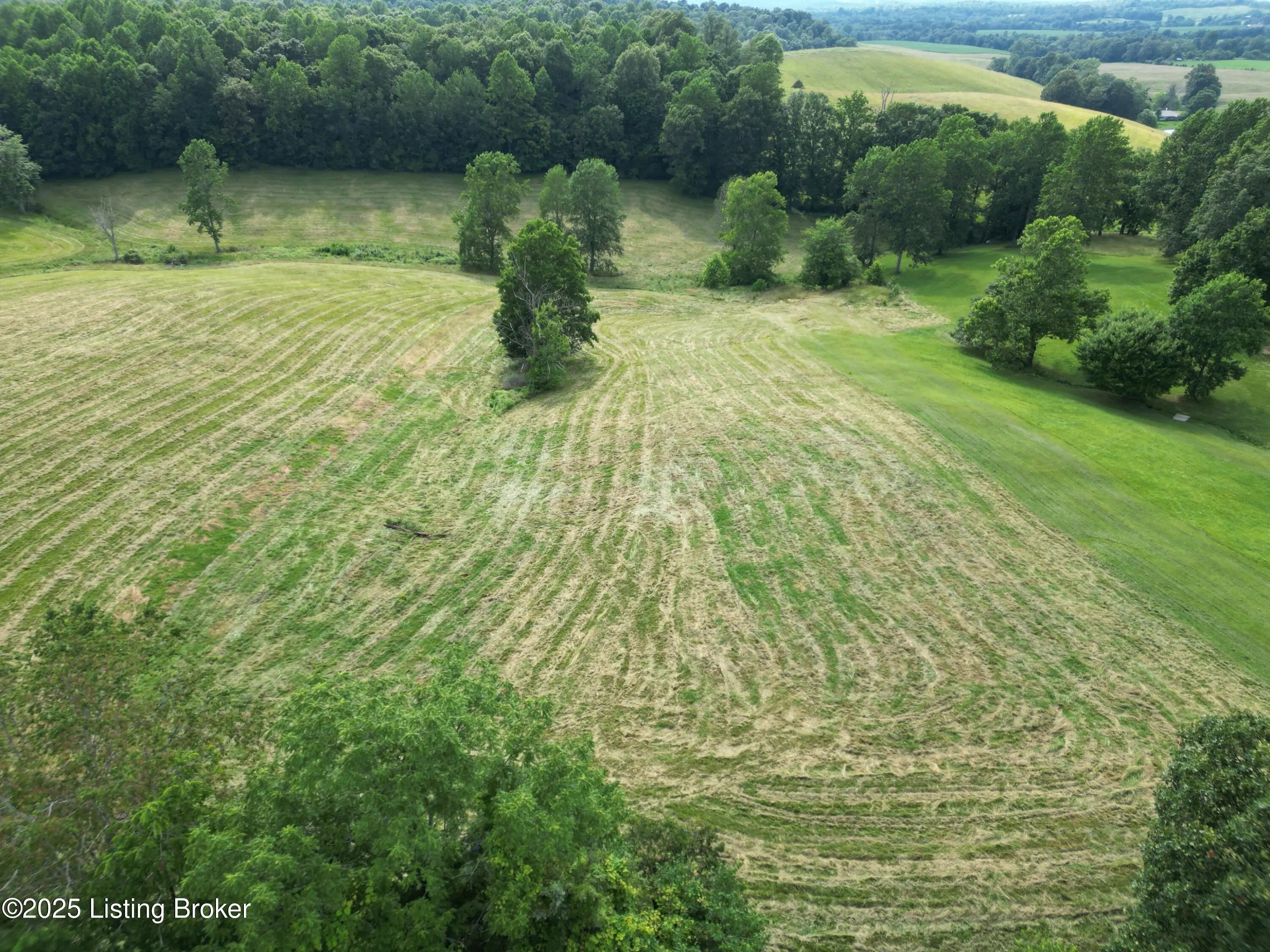 Photo of Listing #1701907