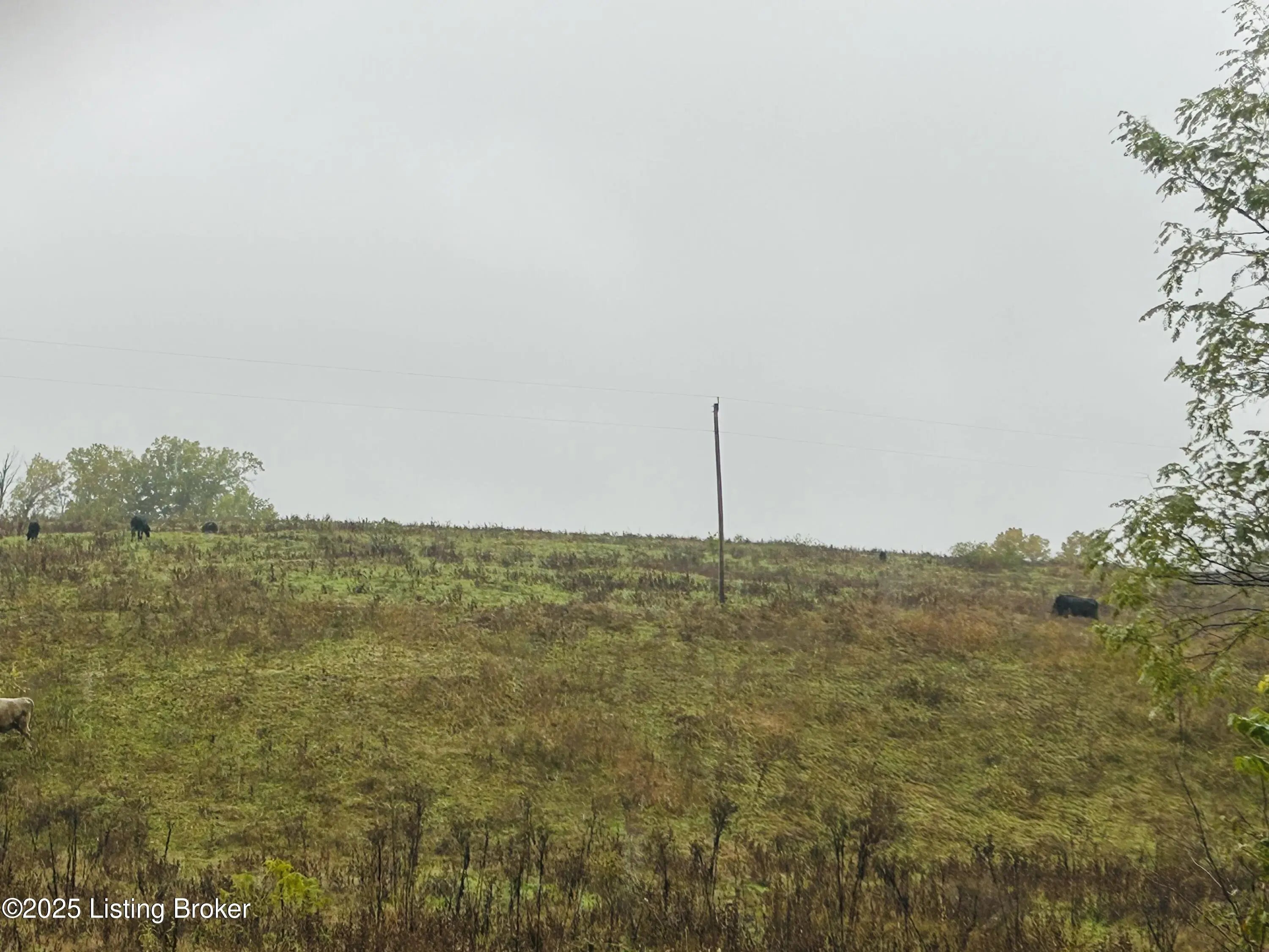 Photo of Listing #1702039