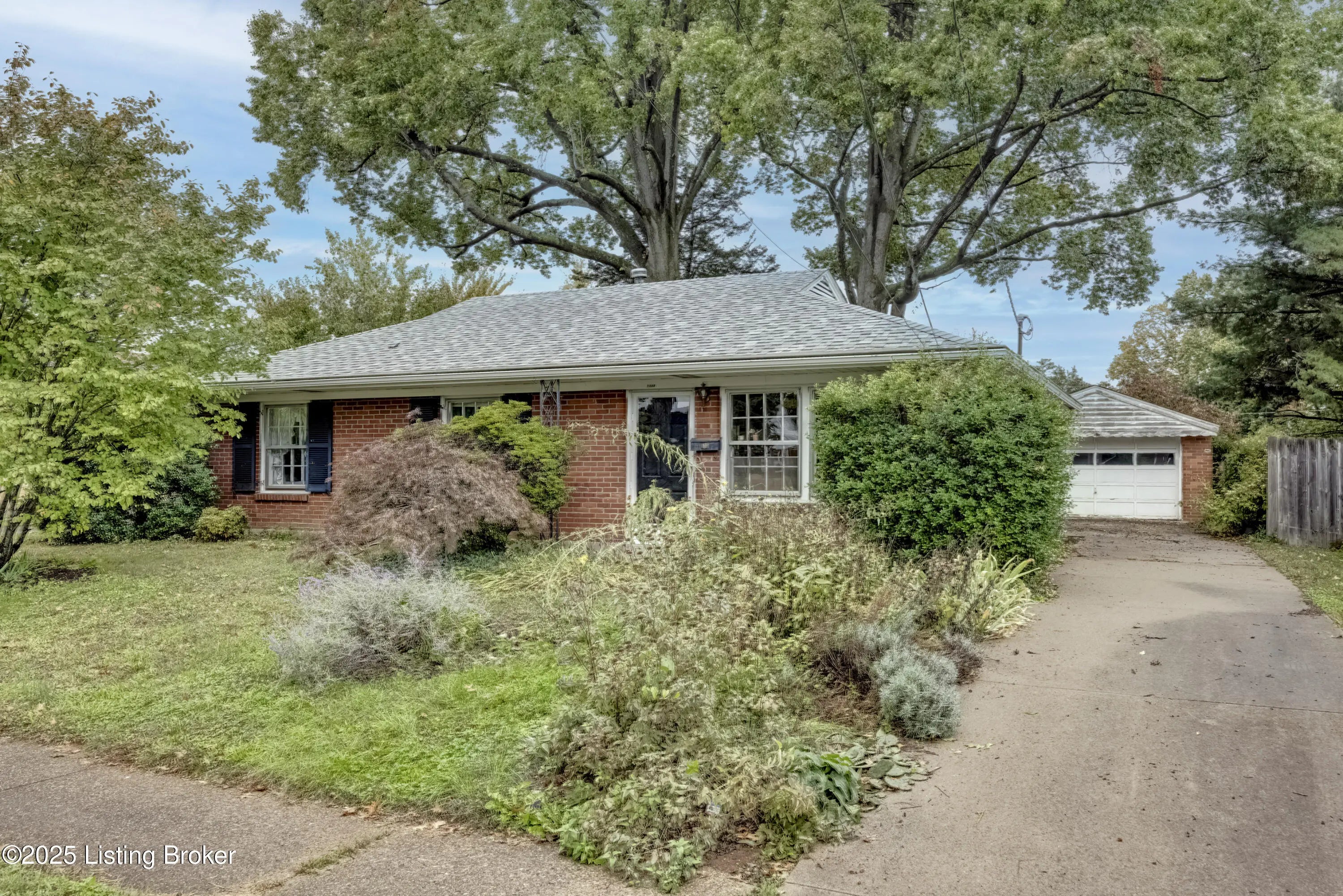 Photo of Listing #1702219