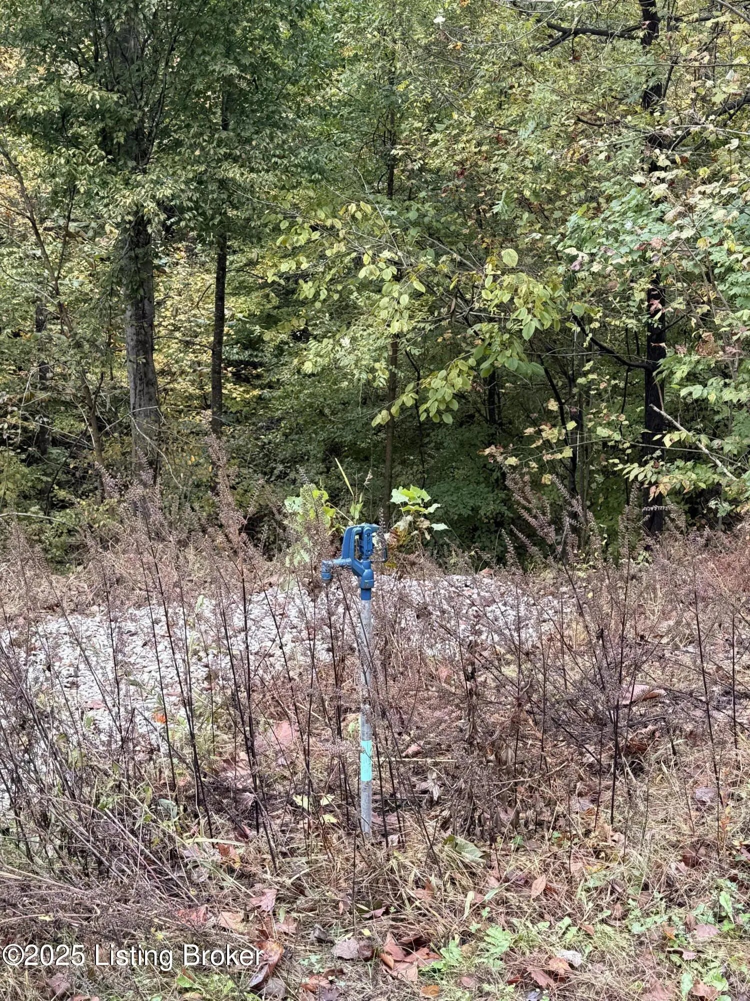 Photo of Listing #1702346