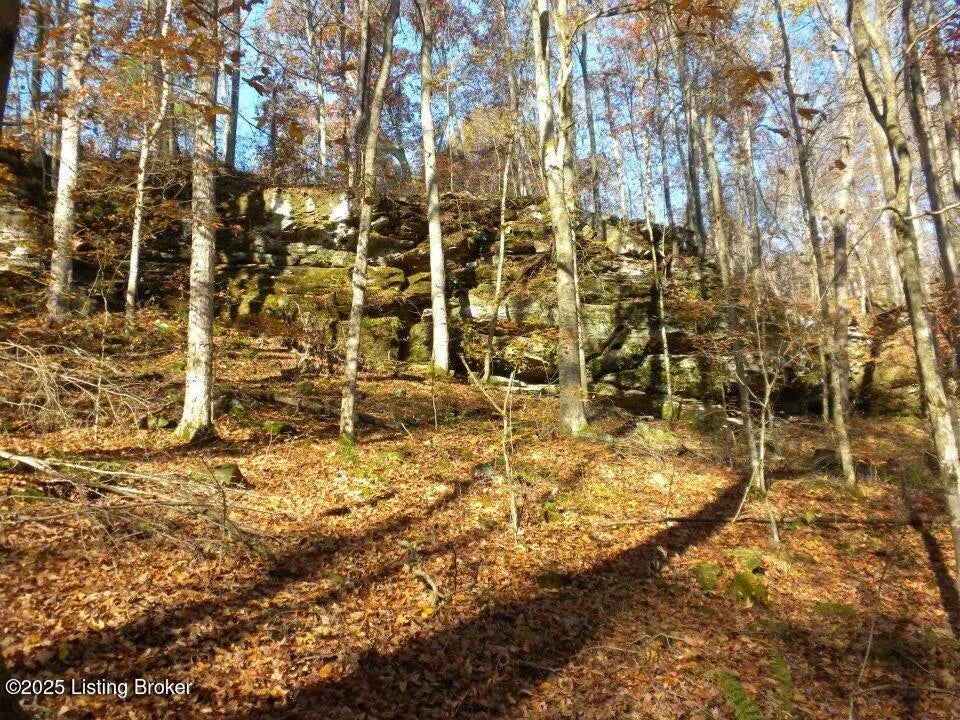 Photo of Listing #1702756