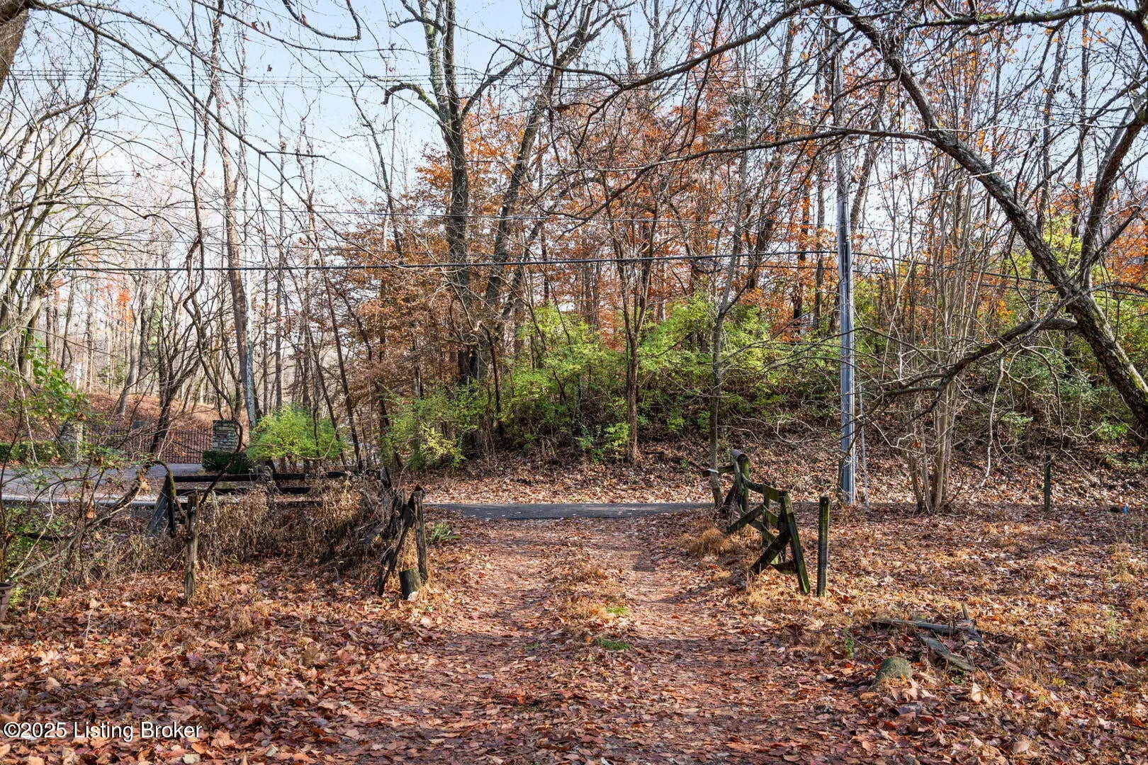 Photo of Listing #1704101